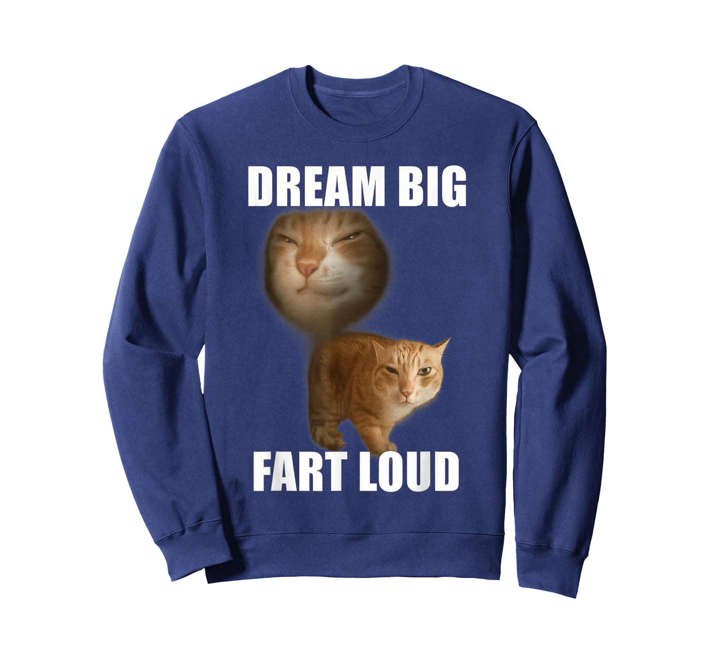 Dream big fart loud funny cat meme T-Shirt