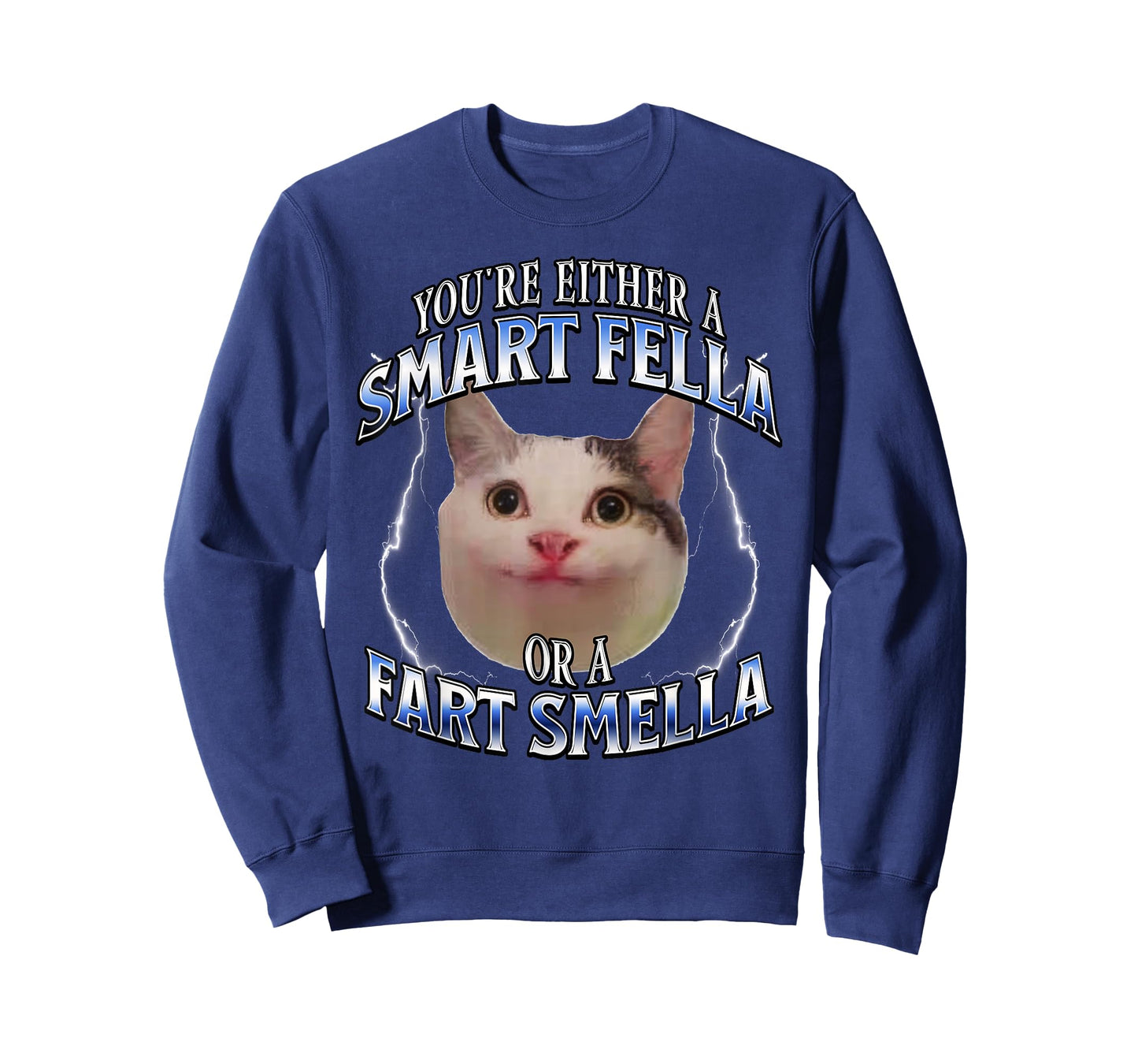 funny cat meme you're either a smart fella or a fart smella T-Shirt for Men Women Kids