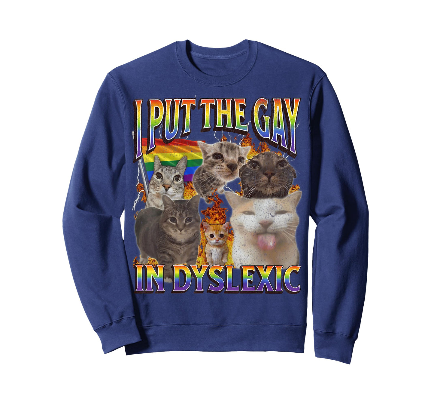 I Put The Gay In Dyslexic Funny Cat Meme Bootleg Graphic T-Shirt