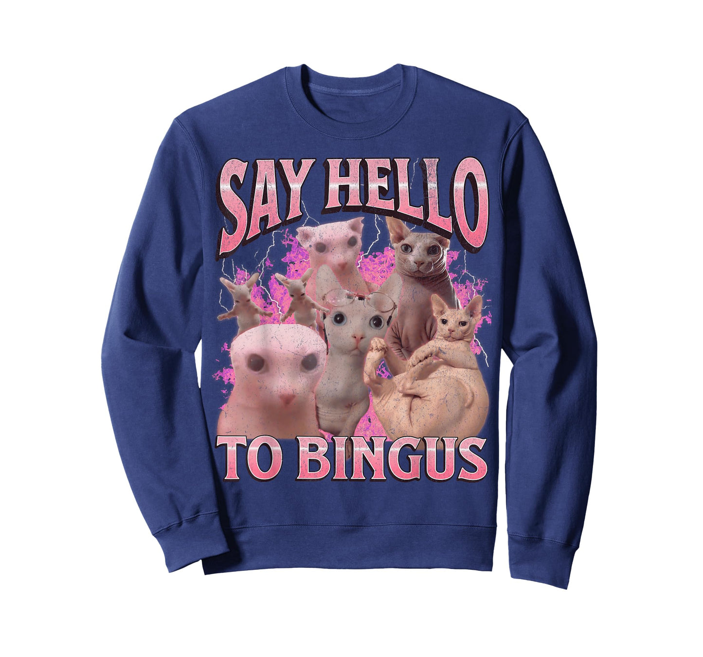 Say Hello To Bingus Funny Sphinx Cat Meme Bootleg Graphic T-Shirt