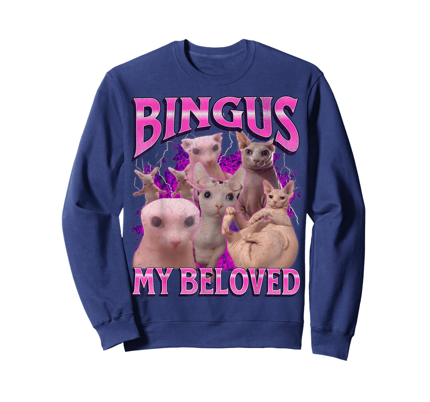 Bingus My Beloved Funny Sphinx Cat Meme Bootleg Graphic T-Shirt