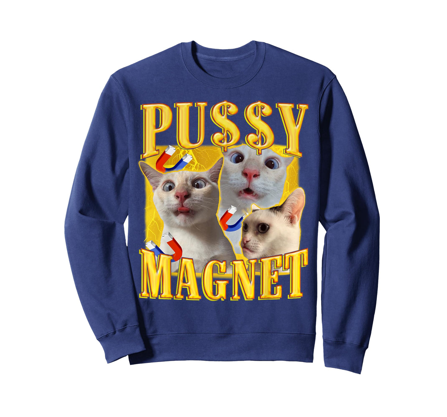 Ironic PUSSY MAGNET Cat Meme Funny Offensive Adult Humor T-Shirt