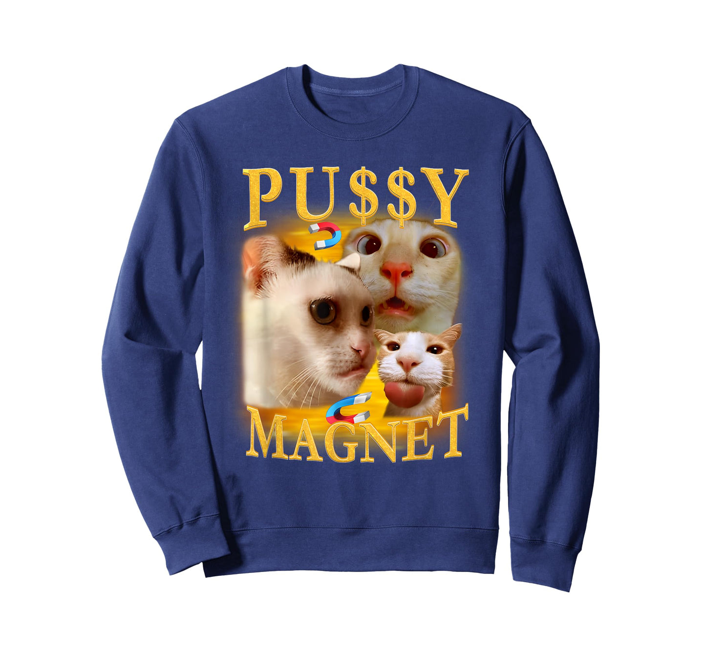 Ironic Cat Magnet Meme Funny Sarcastic Offensive Humor T-Shirt