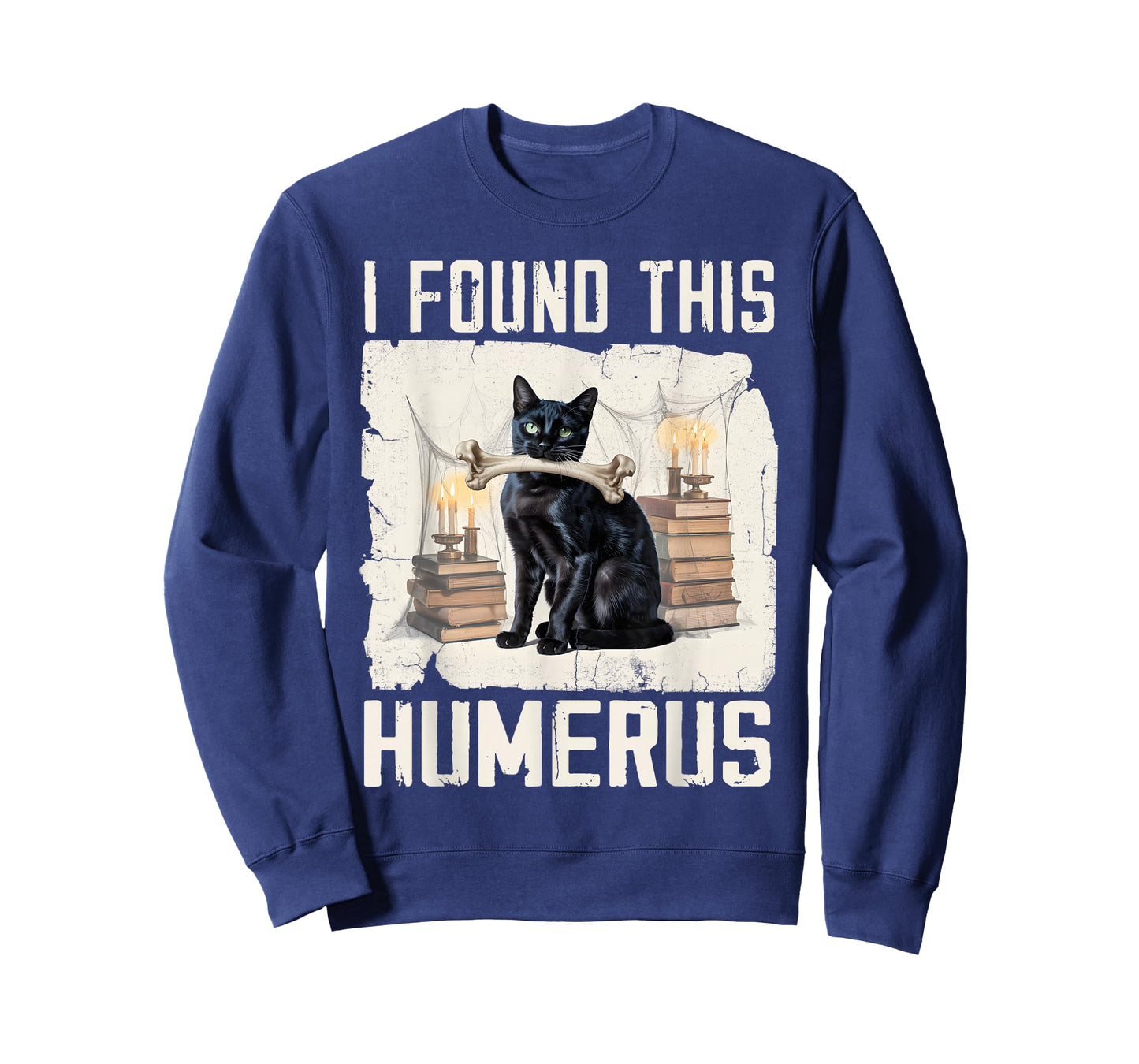 I Found This Humerus Vintage Funny Scary Black Cat Halloween T-Shirt