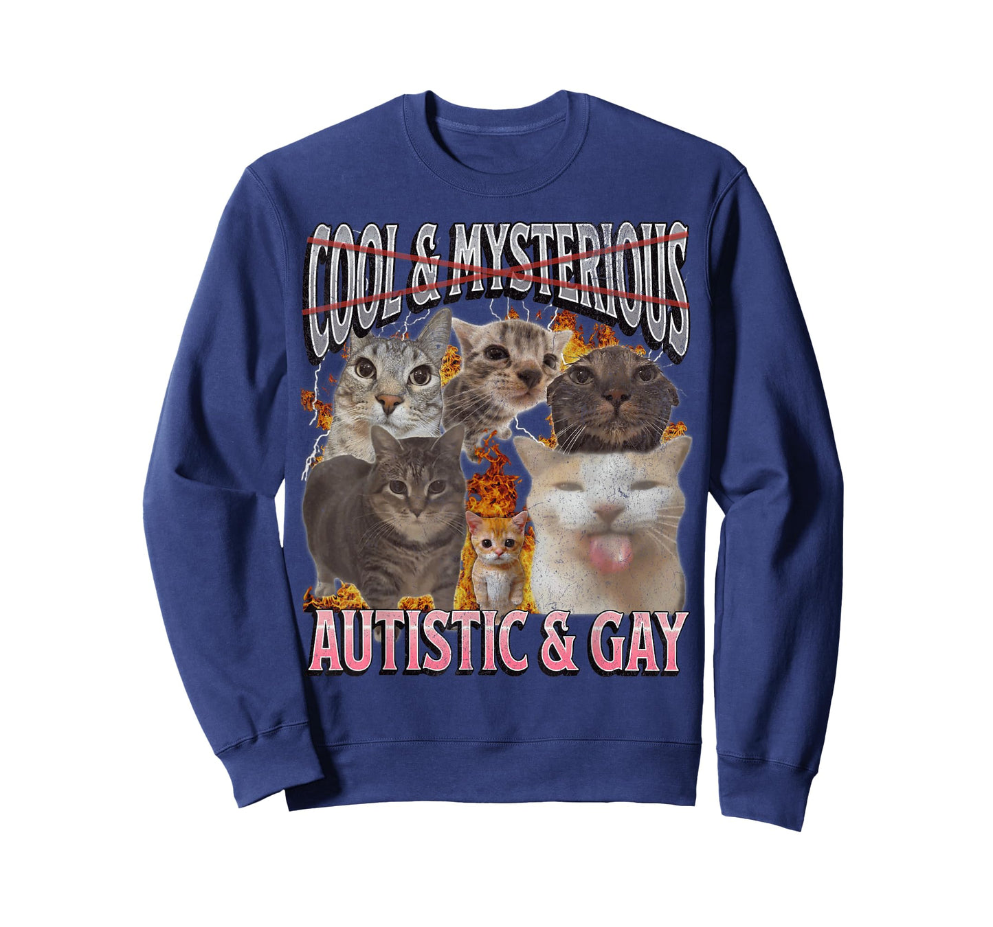 Autistic and Gay Funny Cat Meme Bootleg Graphic T-Shirt
