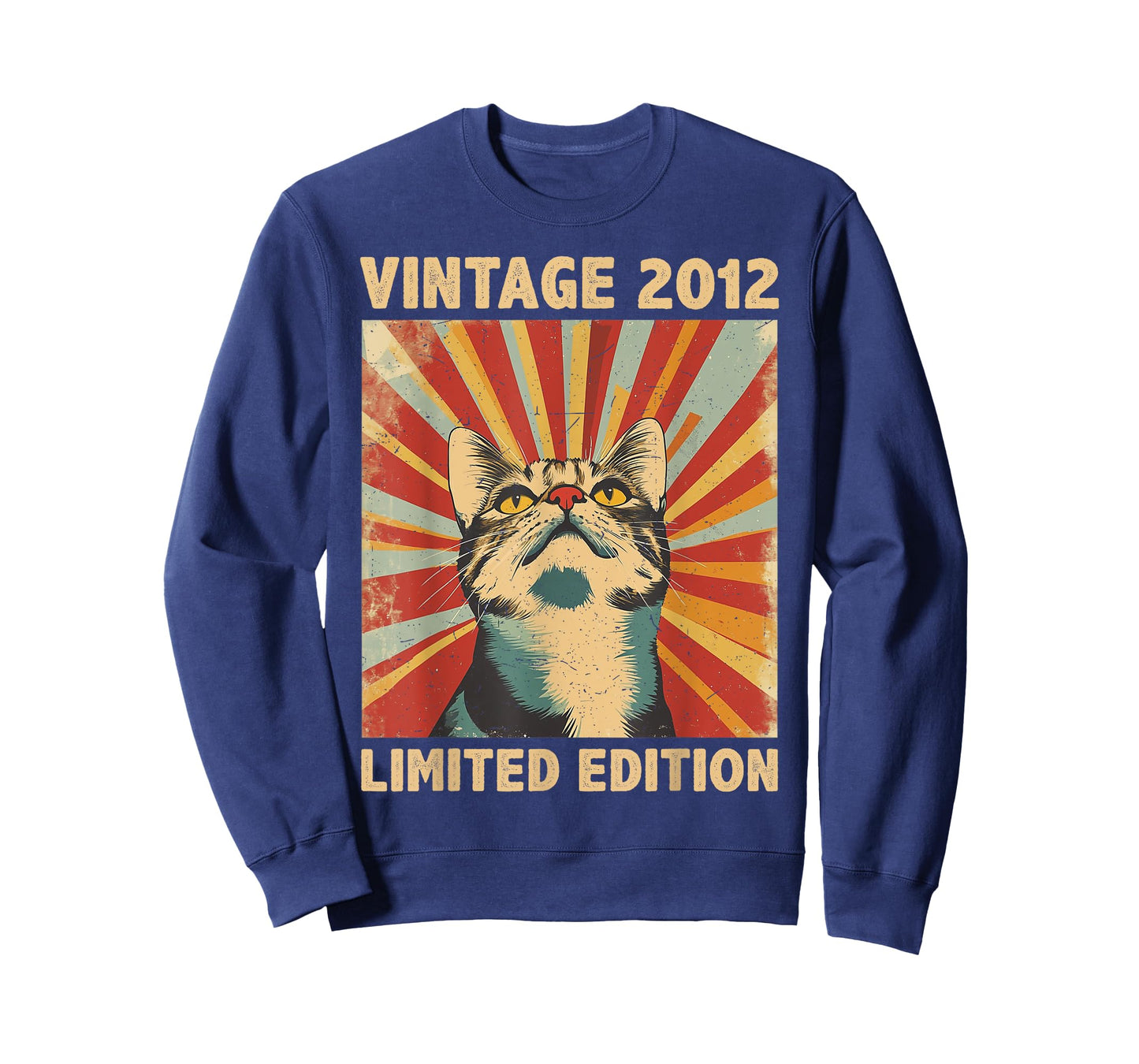 13 Years Old Gift Vintage 2012 Cat Lover 13th Birthday T-Shirt for Men Women Kids
