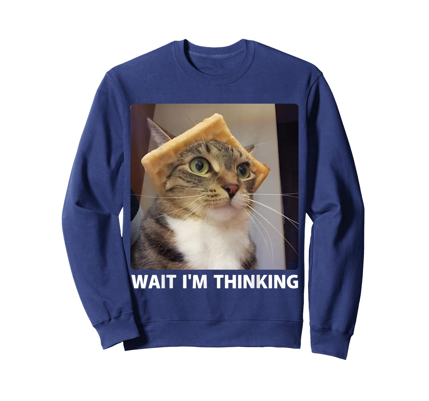Wait I'm Thinking Cat Meme Funny Silly Kitten Staring Cat T-Shirt