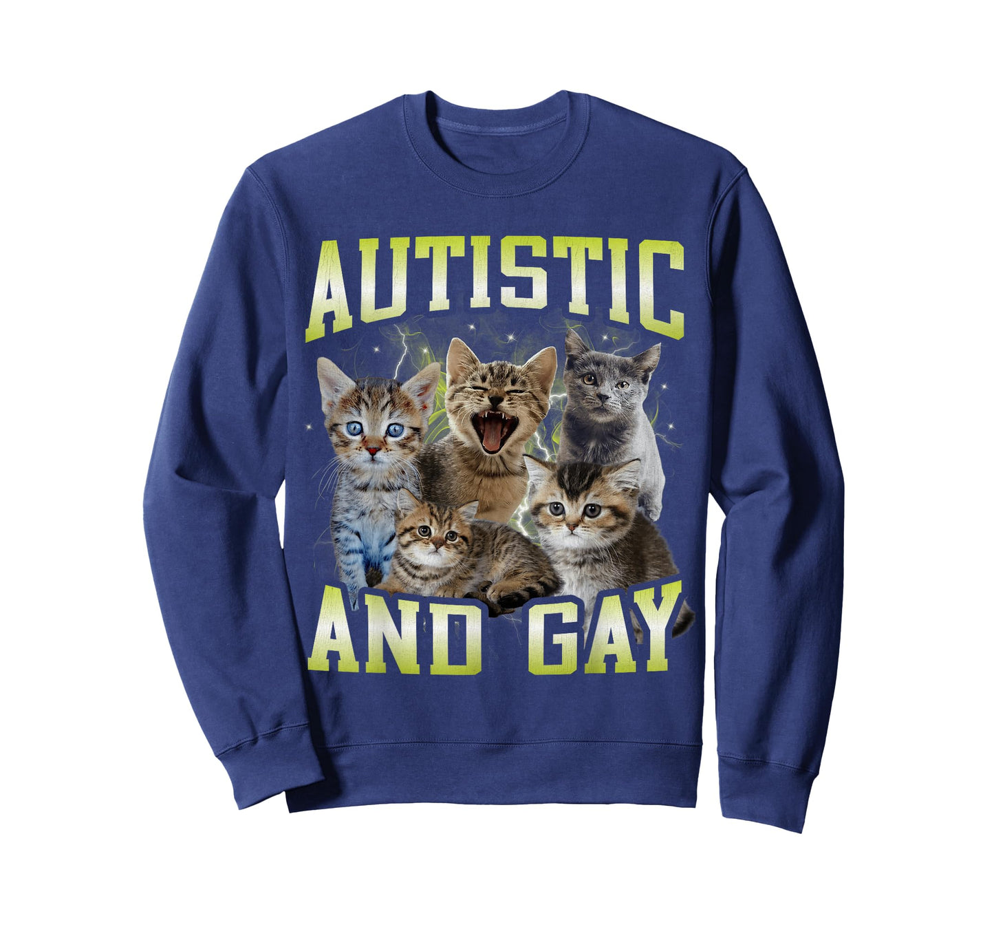 Autistic and Gay Funny Hard Cat Dank Meme Bootleg T-Shirt