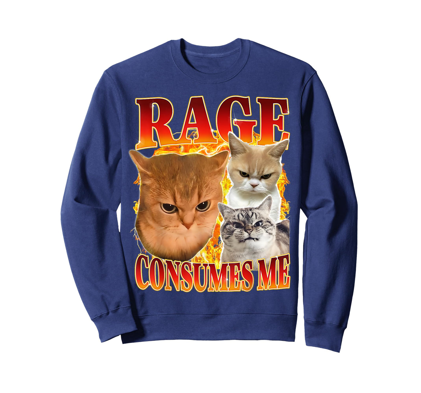 Rage Consumes Me Silly Cat Funny Meme Humor Saying T-Shirt