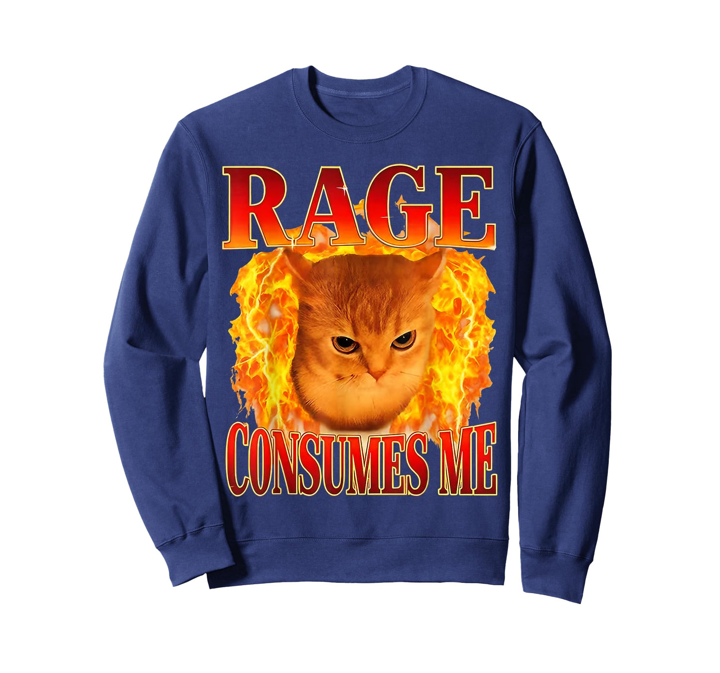 Rage Consumes Me Funny Angry Cat Meme Fire Graphic T-Shirt