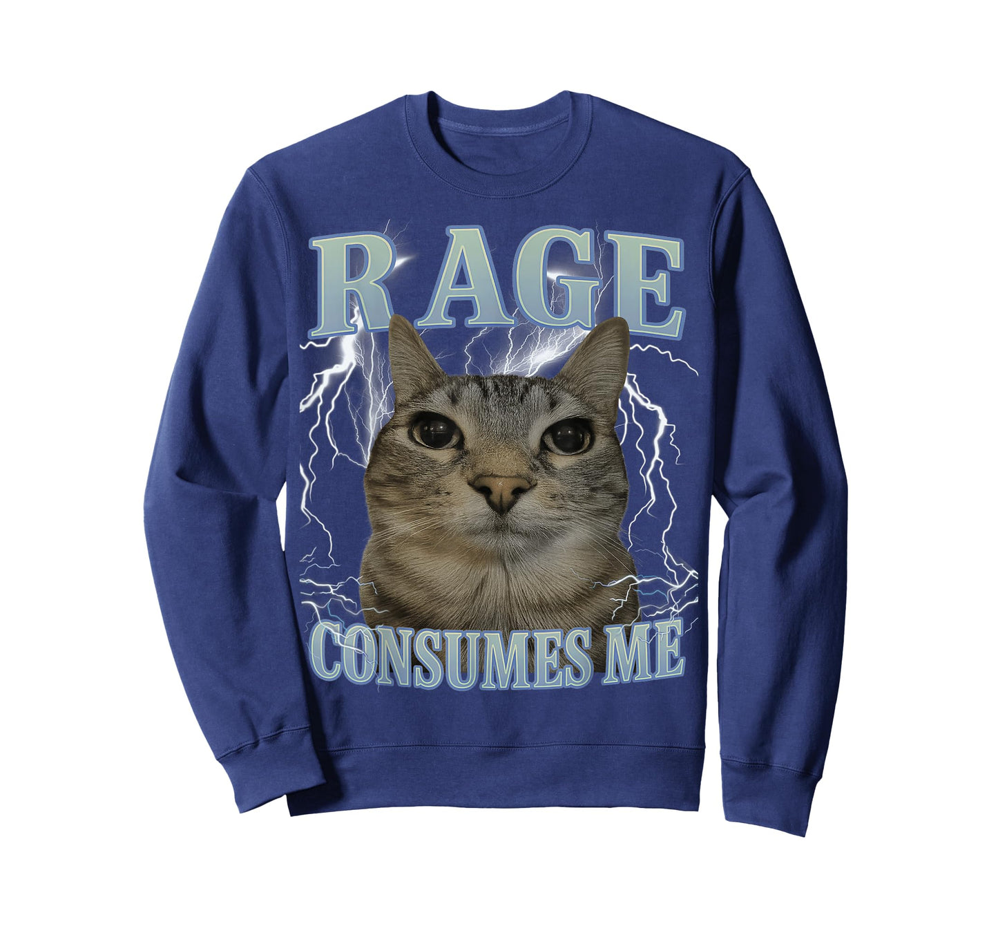 Rage Consumes Me Cat Silly Funny Cat Meme Men Women Graphic T-Shirt