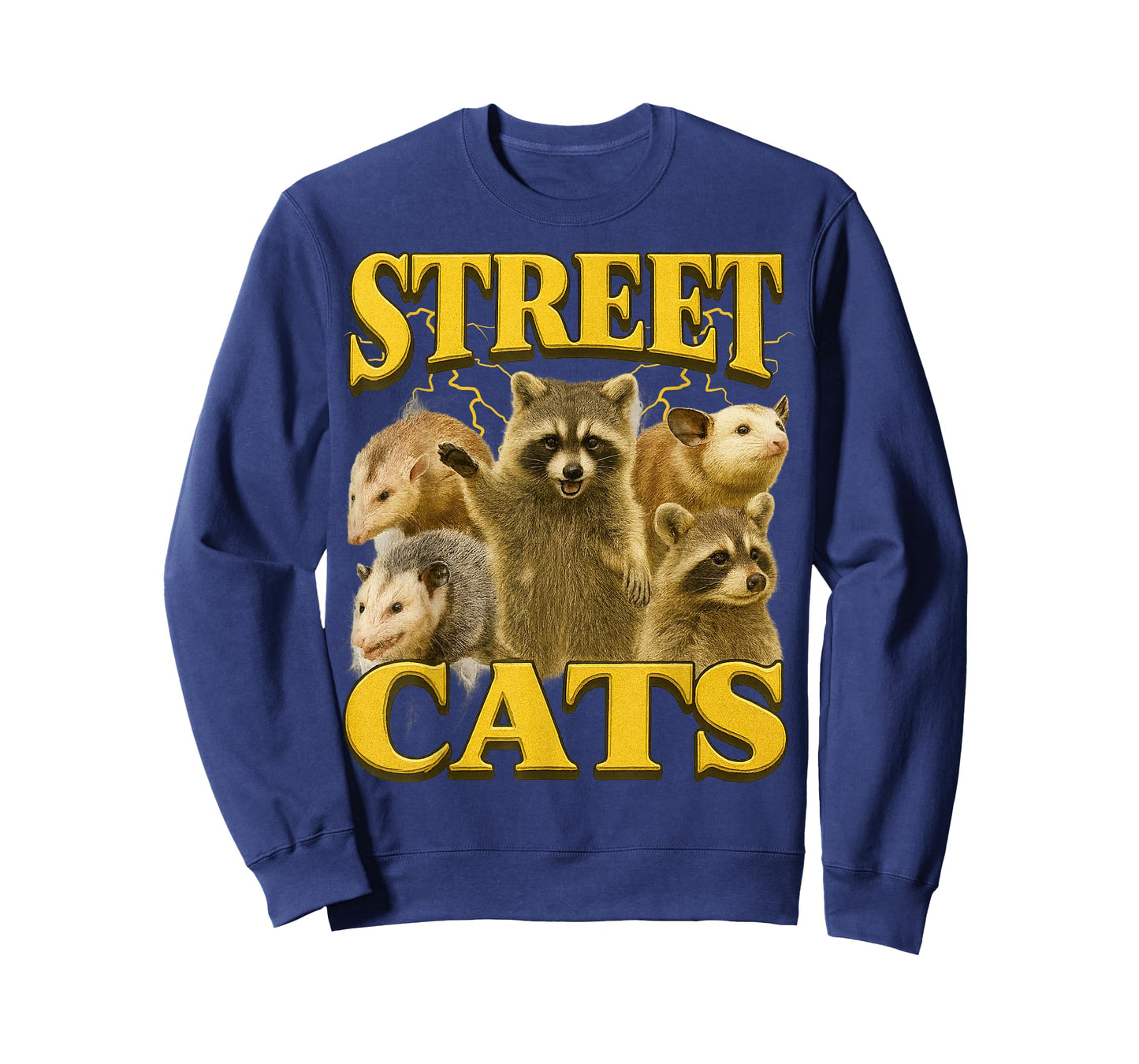 Funny Street Cats Funny Raccoon Bootleg Funny 90's Memes T-Shirt