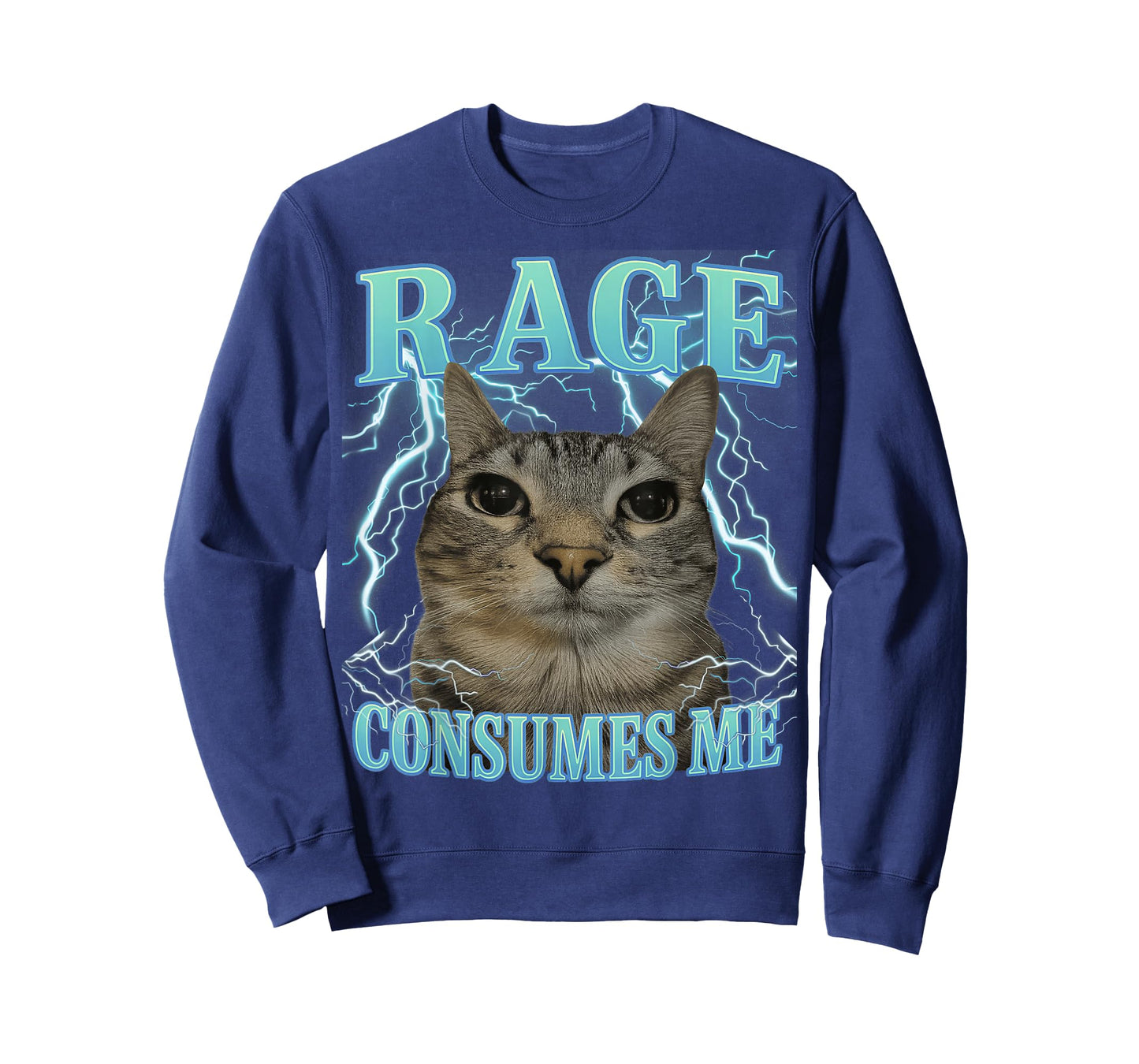 Rage Consumes Me Cat Silly Cat Meme Funny Men Women Graphic T-Shirt