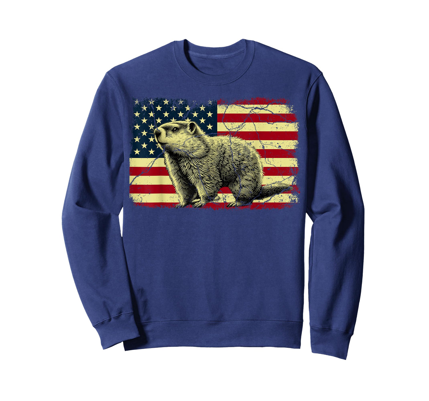 Punxsy Phil American Flag Groundhog Day For Men Women T-Shirt