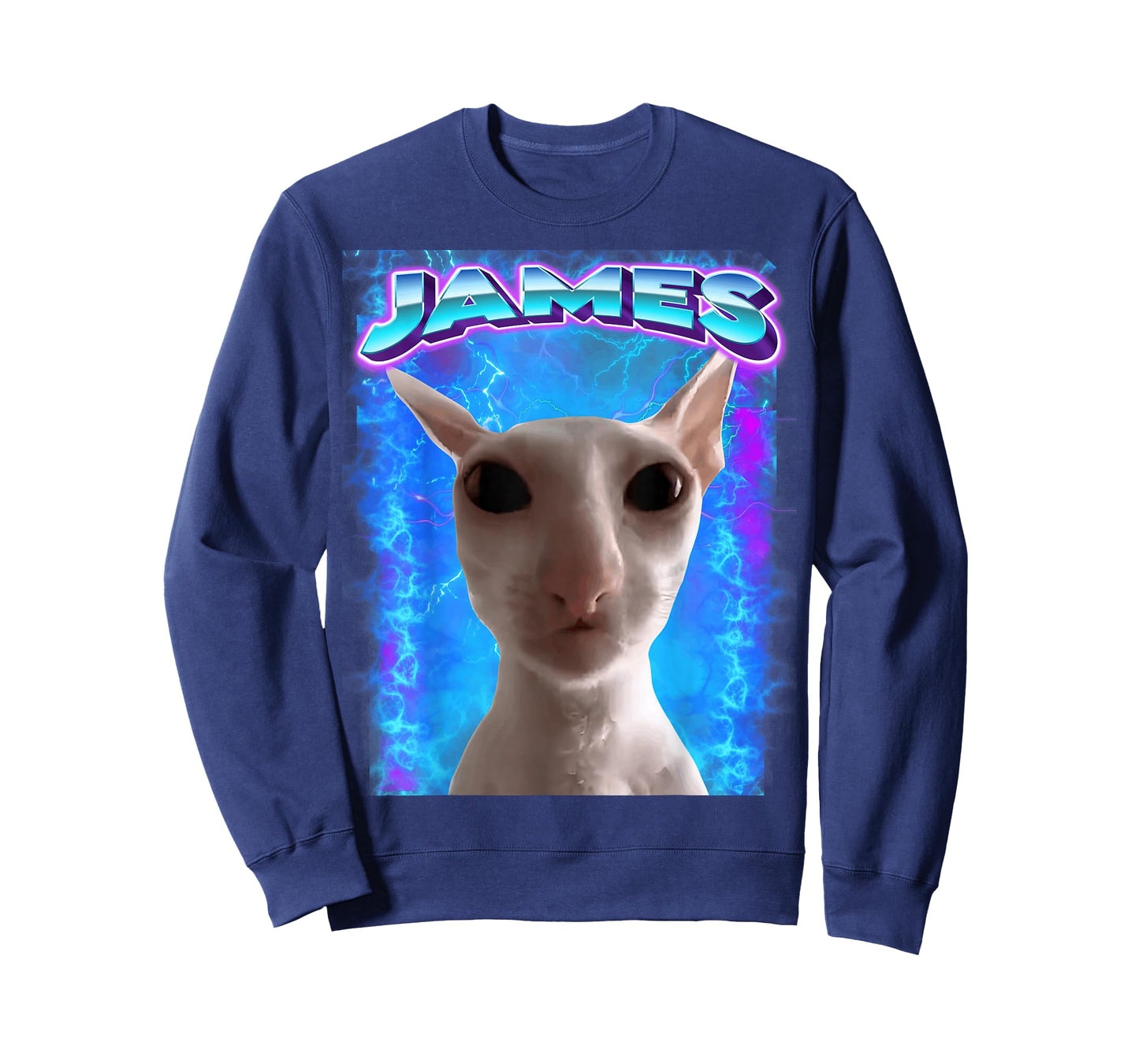 James Cat Meme Cursed Memes Brainrot Memes Oddly Specific T-Shirt