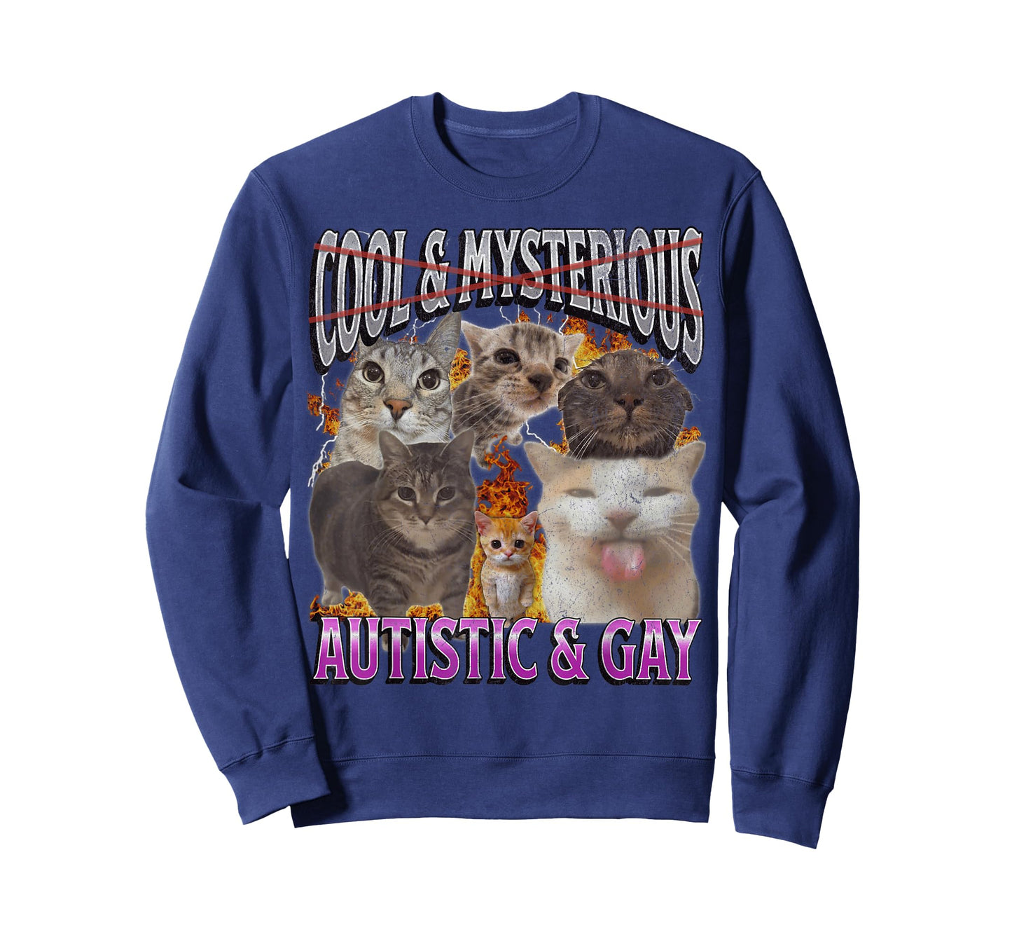 Autistic and Gay Funny Cat Meme Bootleg Graphic T-Shirt