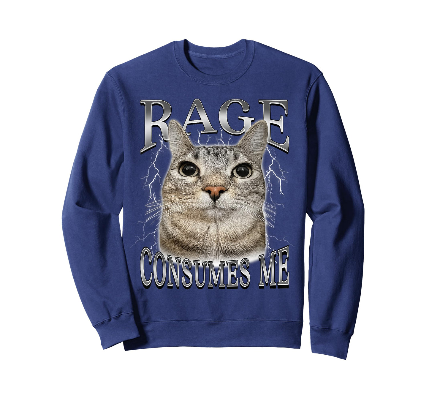 Rage Consumes Me Funny Silly Staring Cat Meme Women Men T-Shirt
