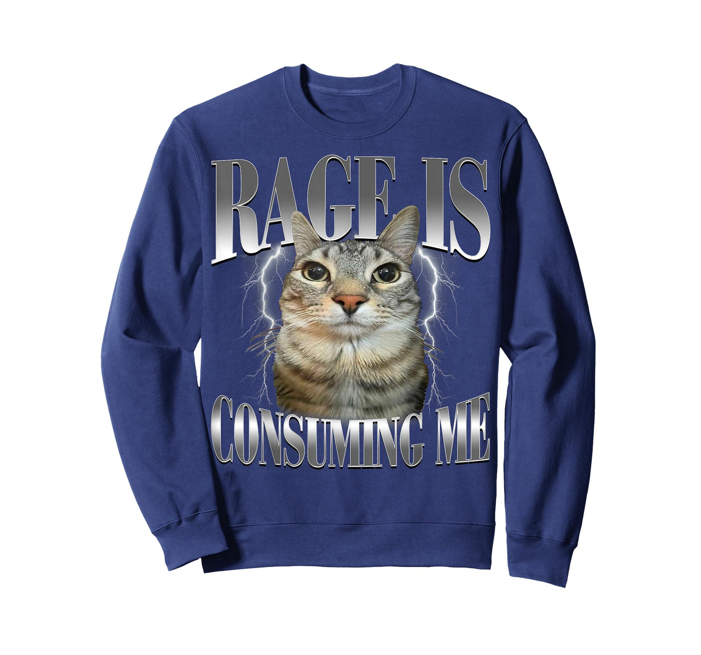 Rage is Consuming Me Silly Staring Cat Meme Humor Cat Funny T-Shirt