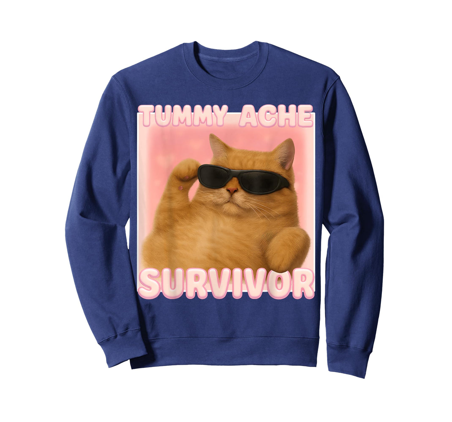 Cat Meme Tee Tummy Ache Survivor Ironic Internet Cats Jokes T-Shirt