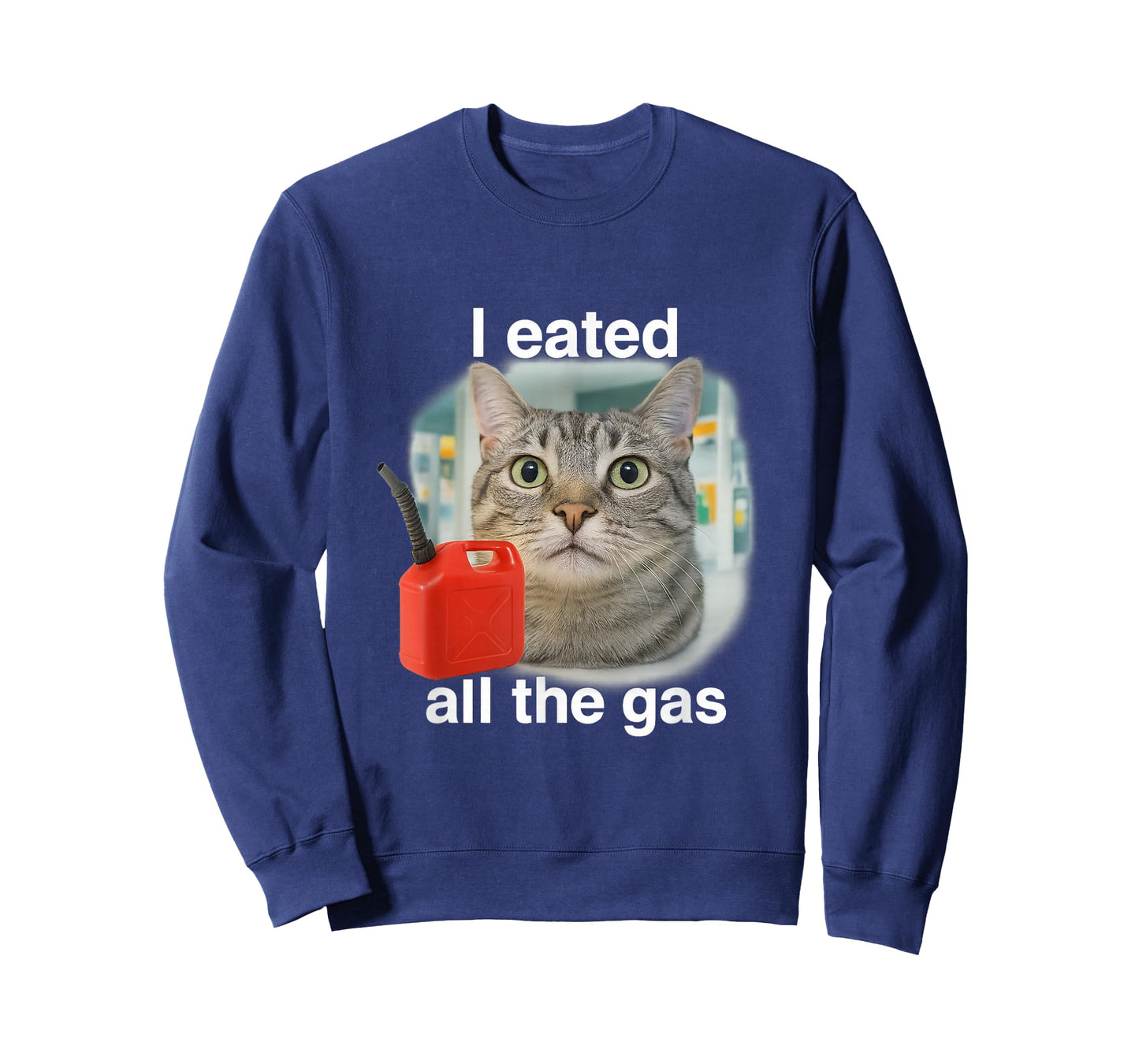 I Eated Wanted All The Gas Funny Unhinged Cat Humor Gen Z T-Shirt