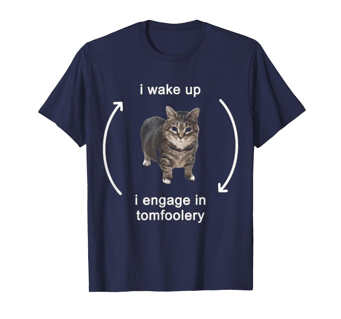 I Wake Up I Engage In Tomfoolery Cat FUNNY MEME T-Shirt for Men Women Kids
