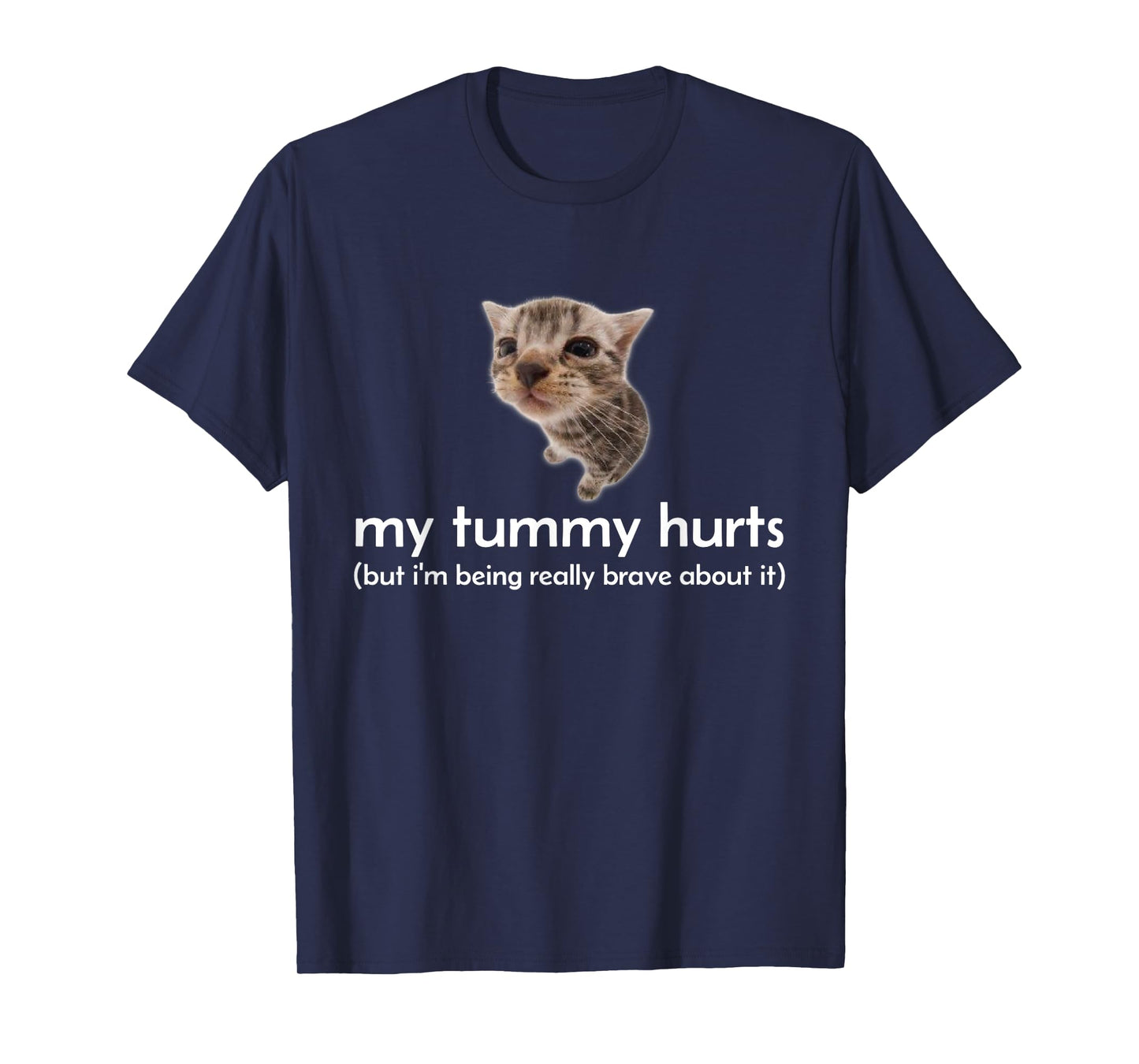 My Tummy Hurts But I'm Being Brave About It Funny Cat Meme T-Shirt for Men Women
