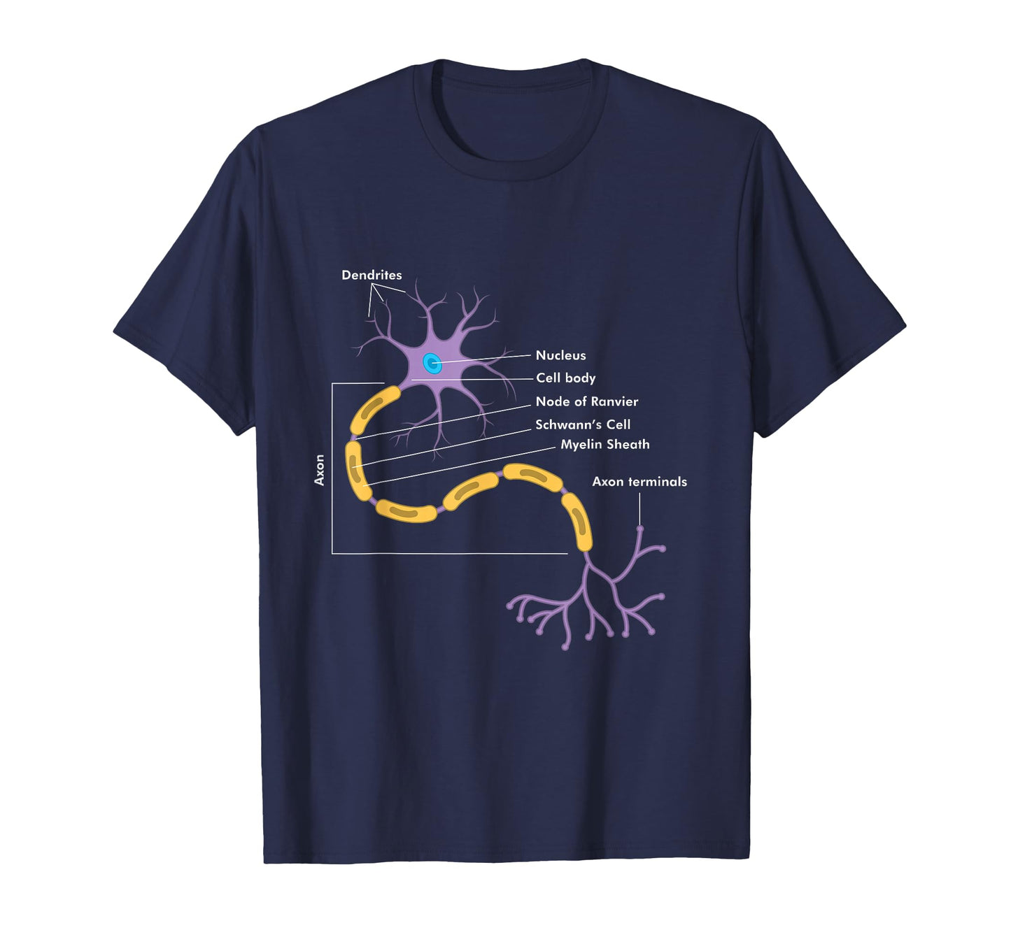 Anatomy Of Neuron Neurologist Gift T-Shirt