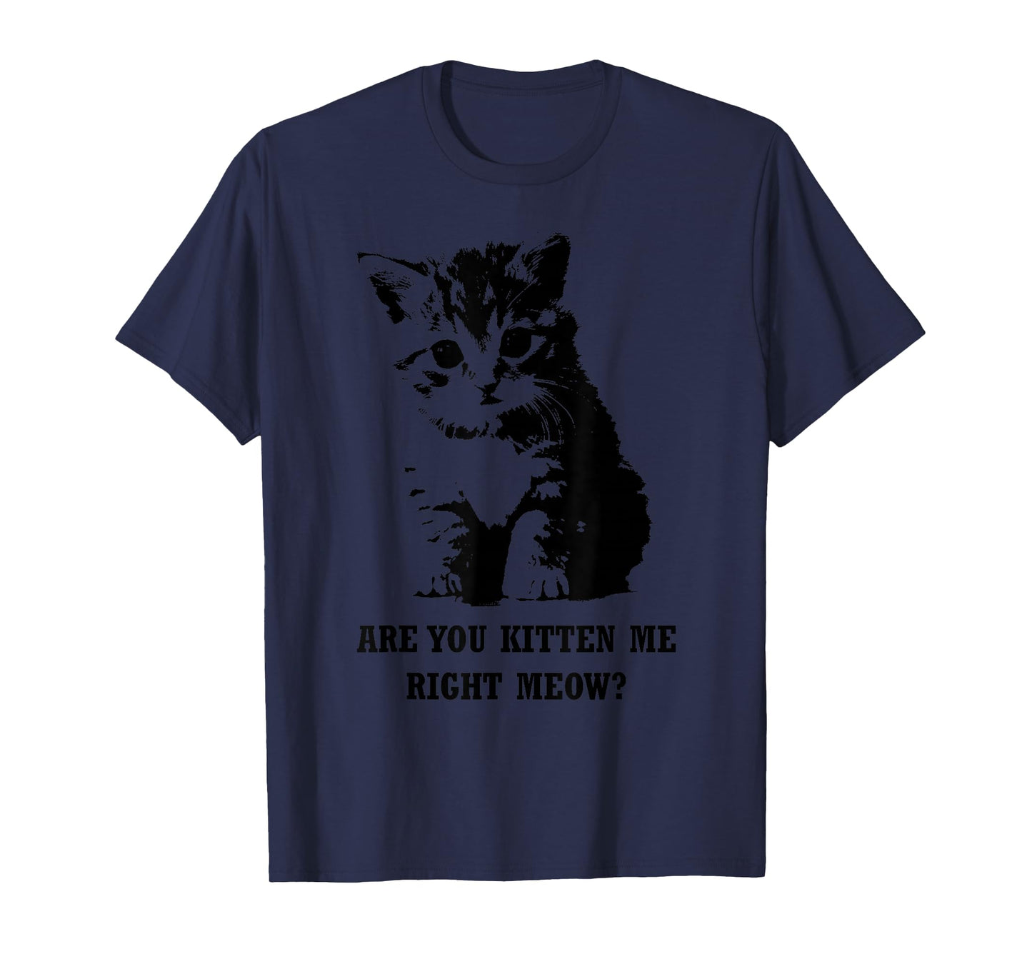 Are You Kitten Me Right Meow T-shirt T-Shirt