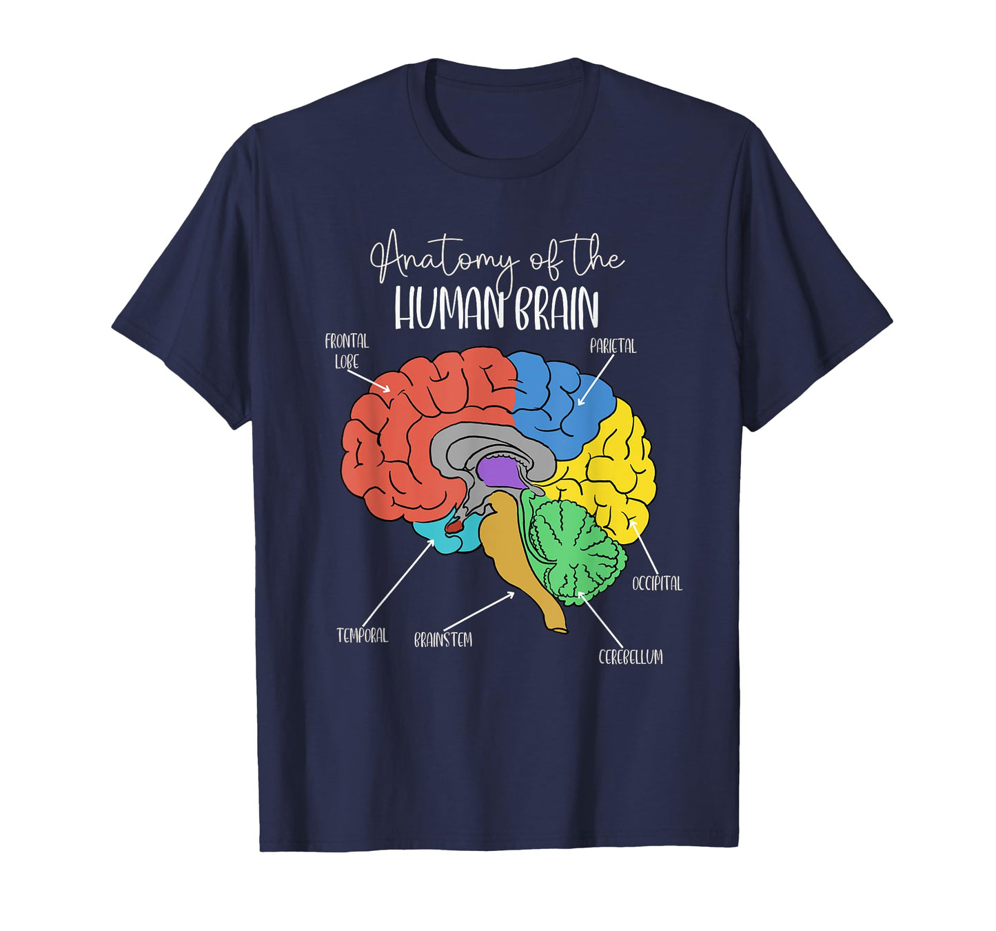 Anatomy of the Human Brain Diagram Neurology Colorful Brain T-Shirt