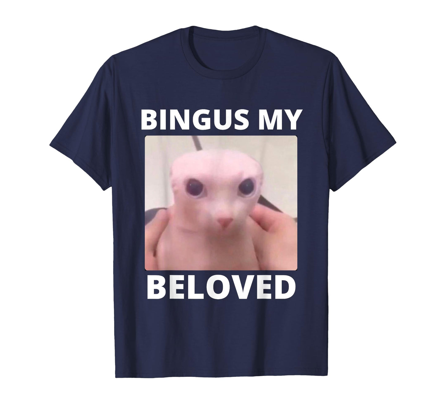 Bald Bingus My Beloved Hairless Sphinx Cat Bingus Cat Meme T-Shirt