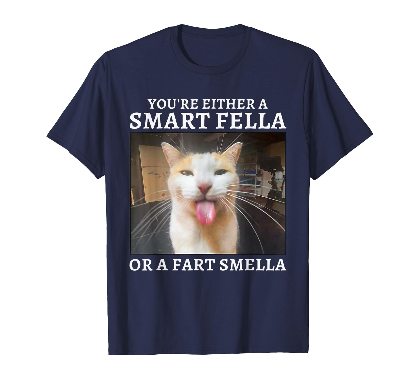 You're Either a Smart Fella or a Fart Smella Funny Cat Meme T-Shirt