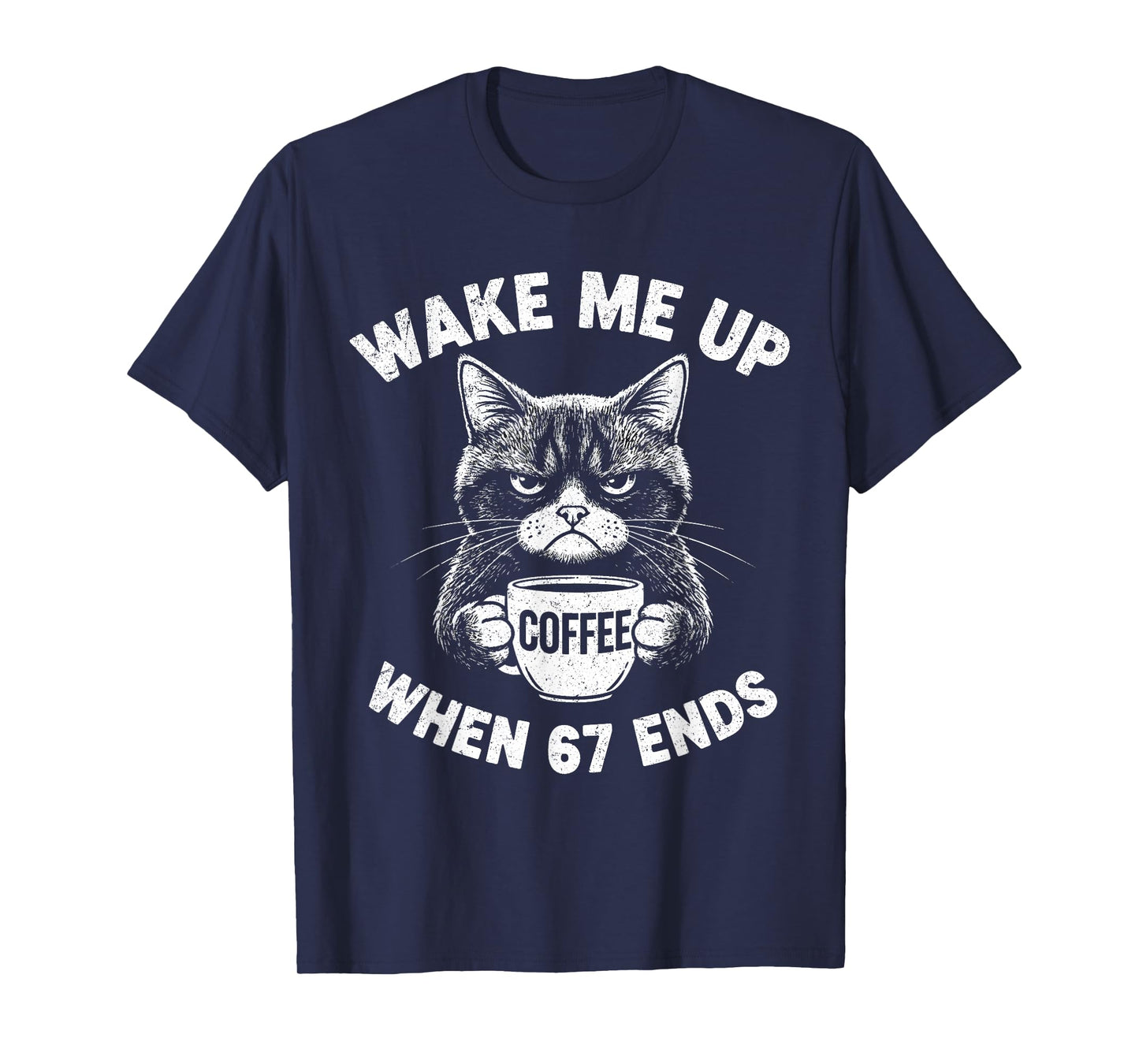 Wake Me 67 Ends Anti Six Seven Cat Brainrot Teacher T-Shirt