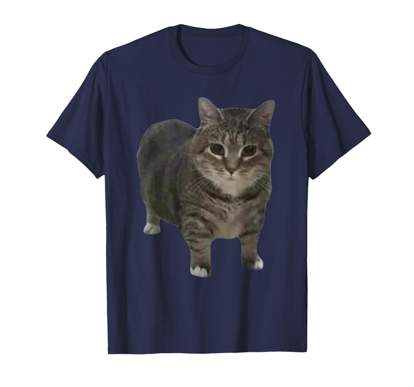 Funny oiia oiia Spinning Cat Meme Men Women T-Shirt