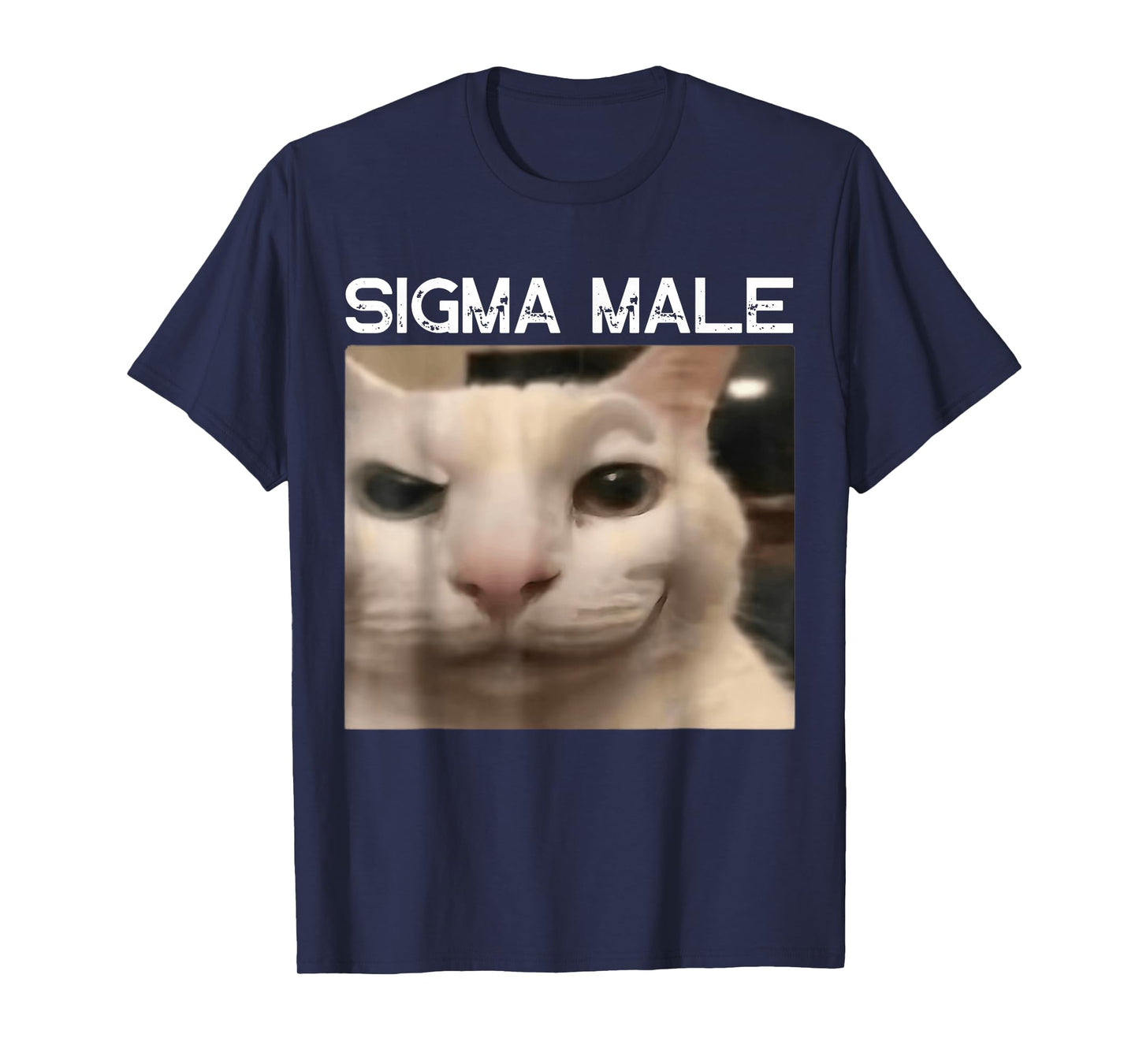 Sigma Male Meme Cat Meme Funny Memes Internet Memes GenZ Boy T-Shirt