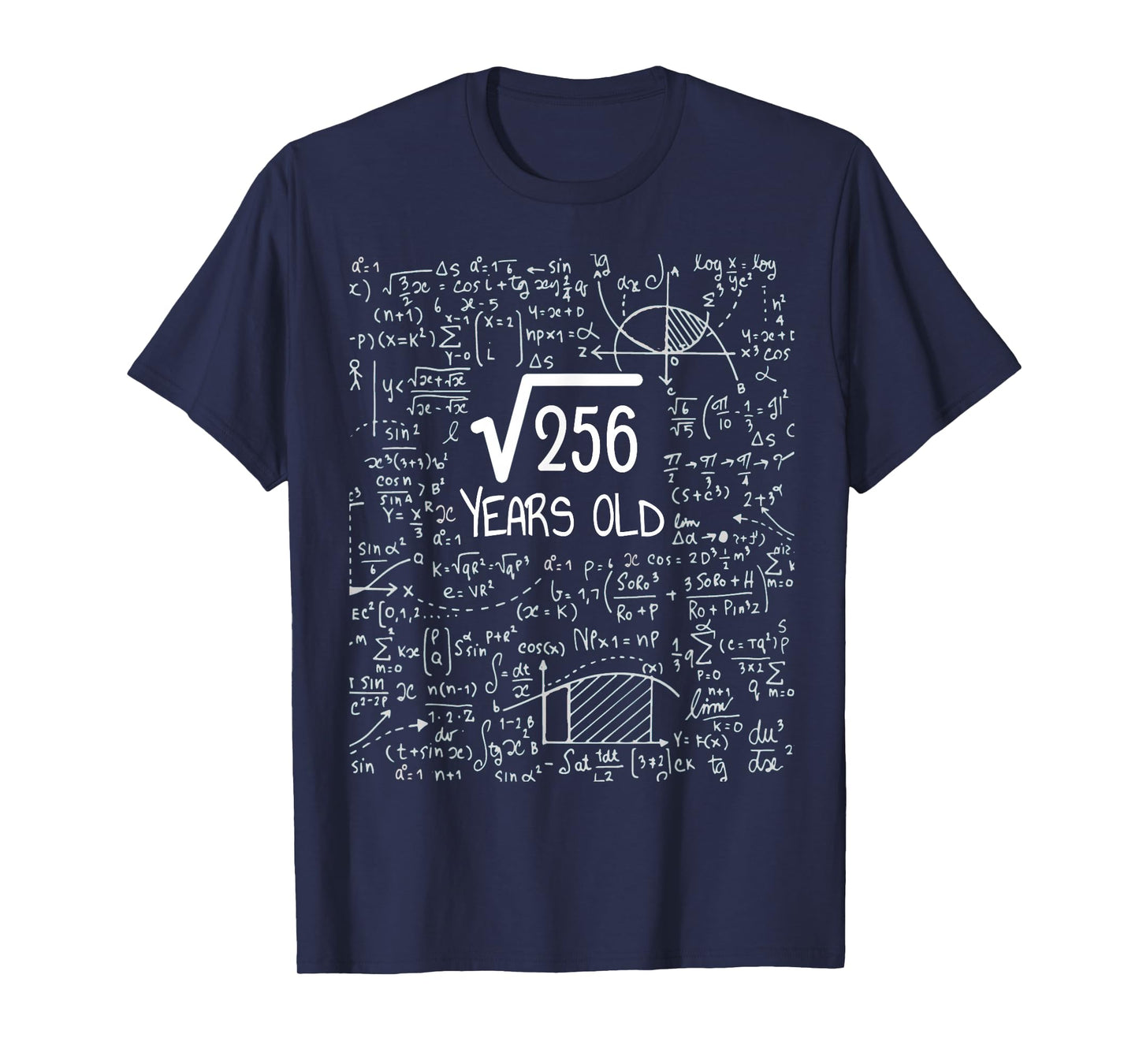 16th Birthday Square Root of 256: 16 Years Old T-Shirt