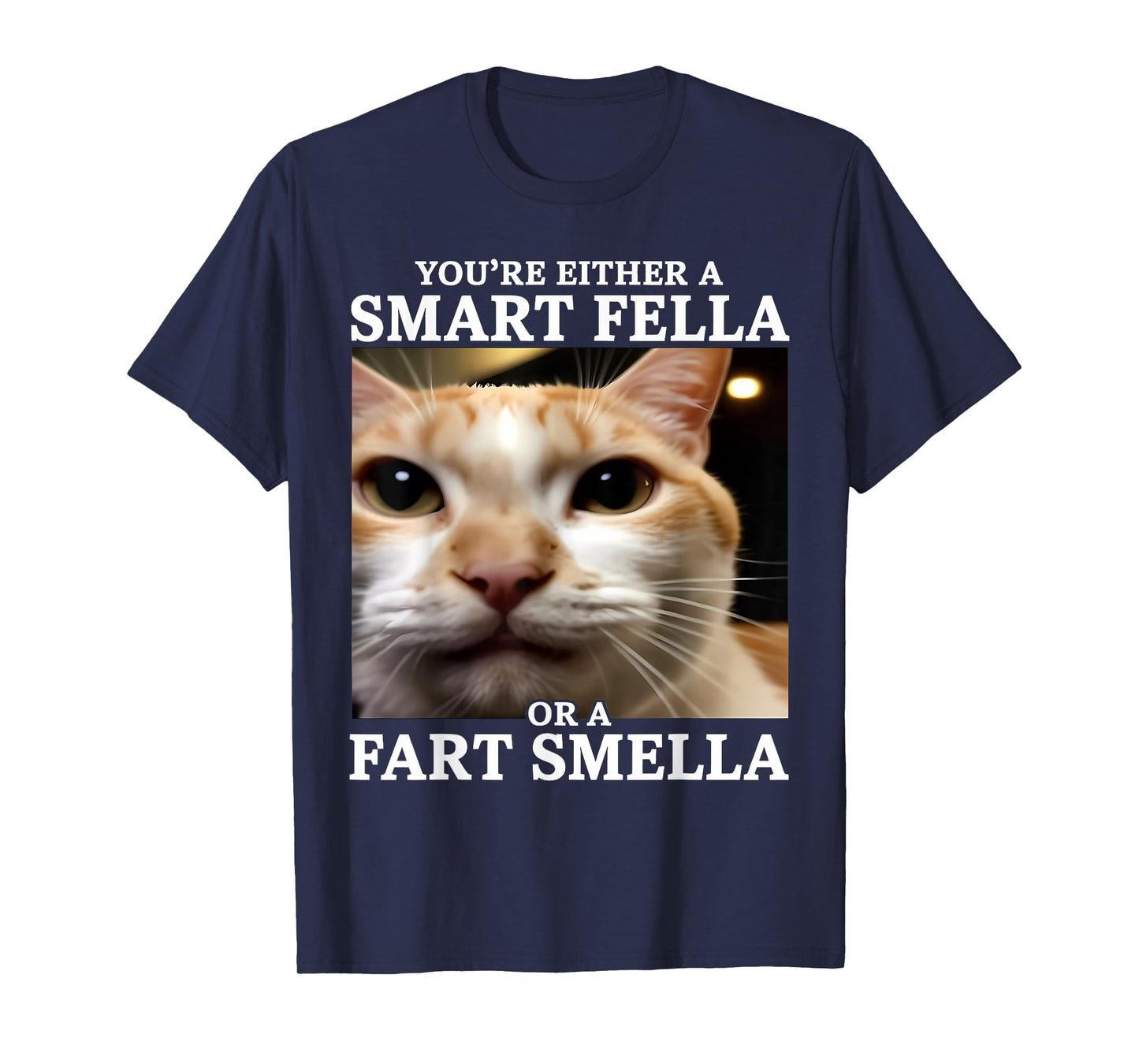 You're Either a Smart Fella or a Fart Smella Funny Cat Meme T-Shirt