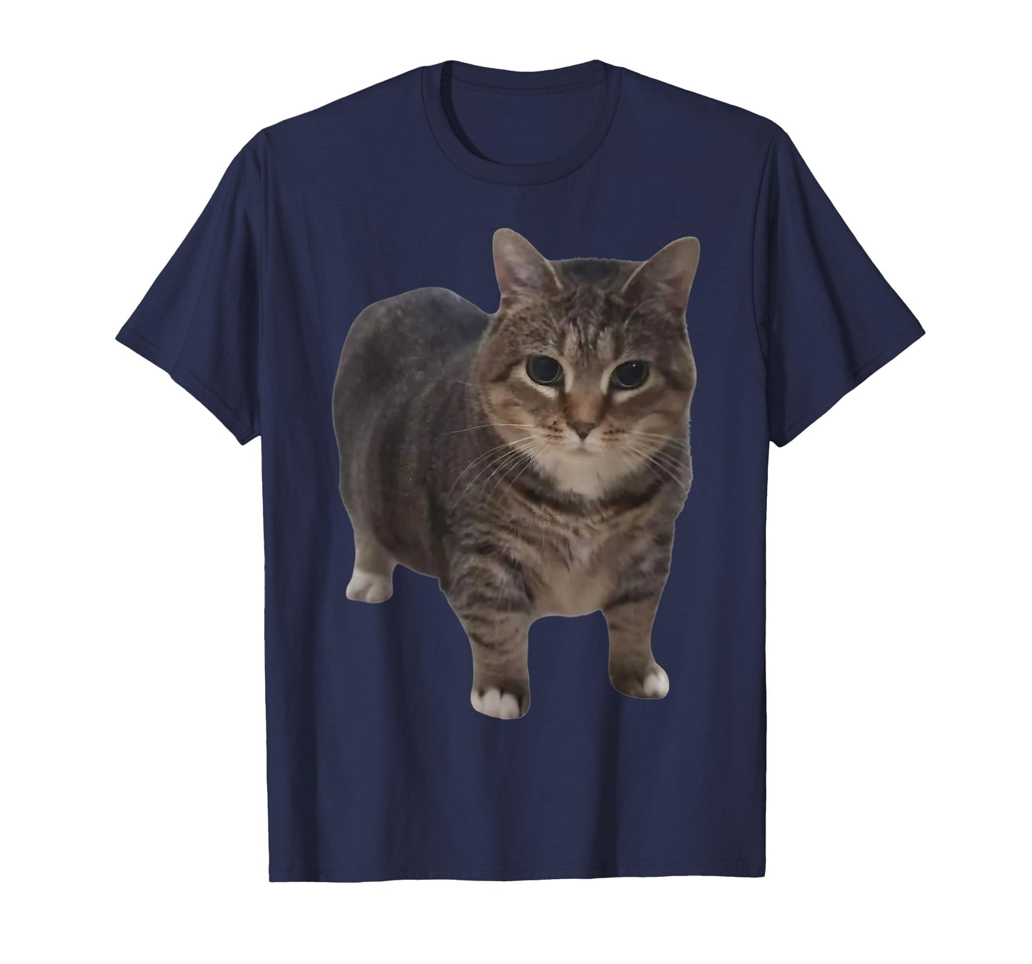 Oiia Oiia Cat Funny Spinning Cat Meme T-Shirt