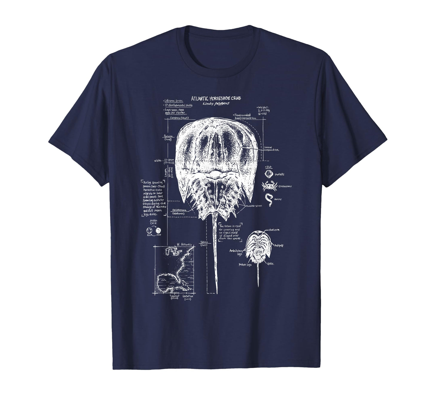 Atlantic Horseshoe Crab Anatomy Marine Biology Ocean Animal T-Shirt
