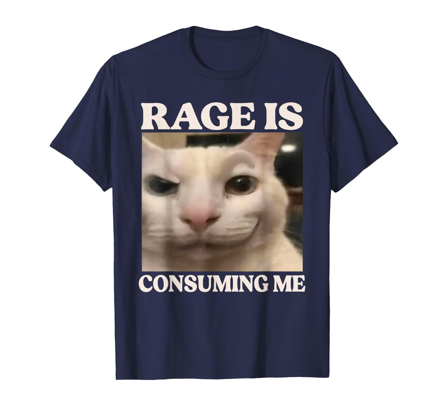 Rage is Consuming Me Cat Silly Cat Meme Rage Consumes Me T-Shirt