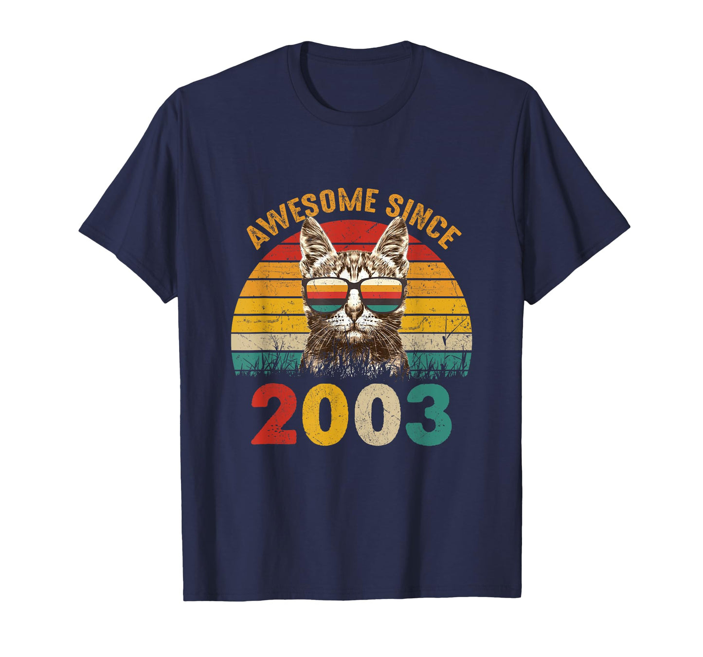 22nd Birthday Party 22 years old Cat Awesome Since 2003 T-Shirt