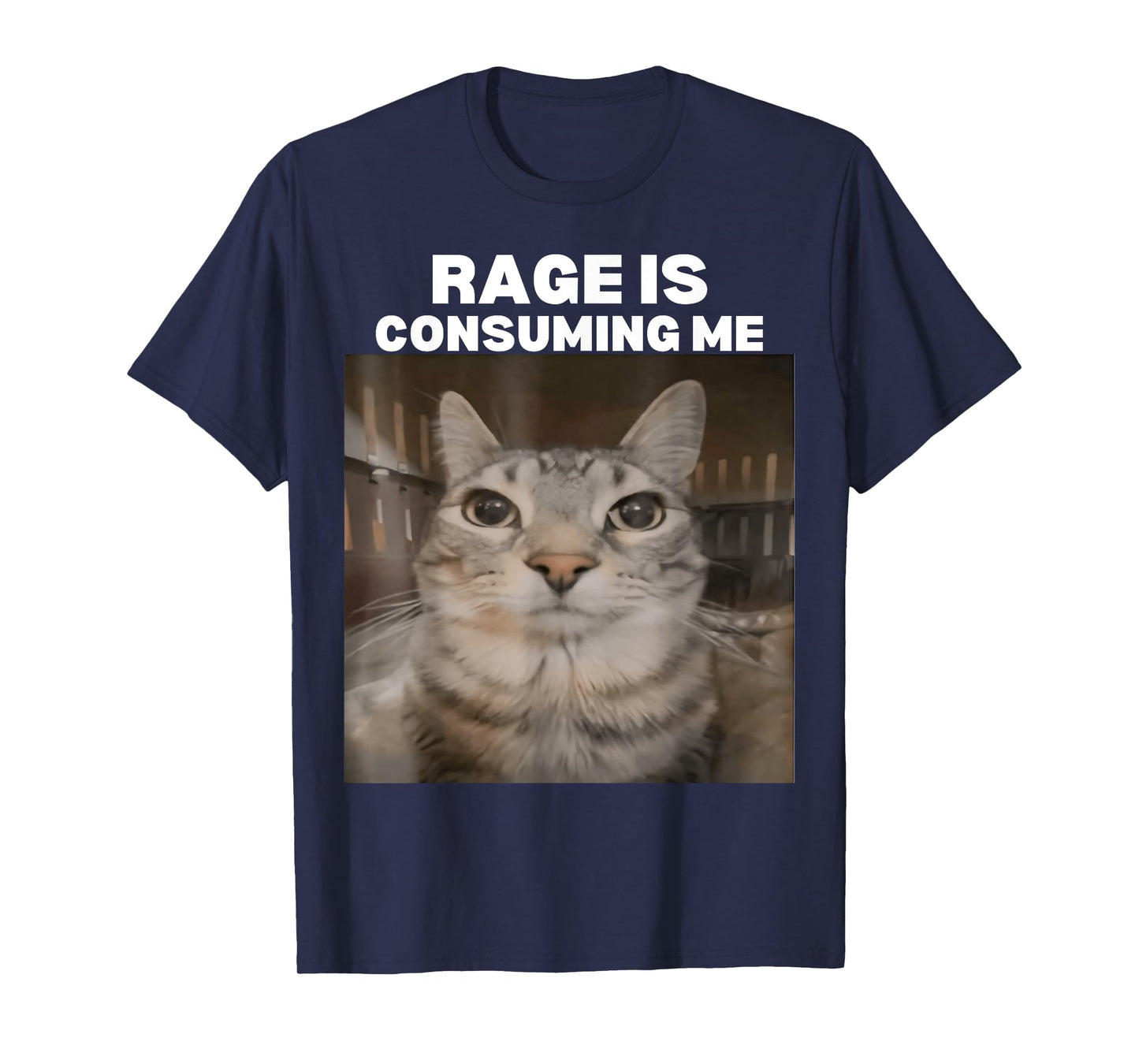 Rage Is Consuming Me Meme Cat Meme Internet Memes Funny Meme T-Shirt