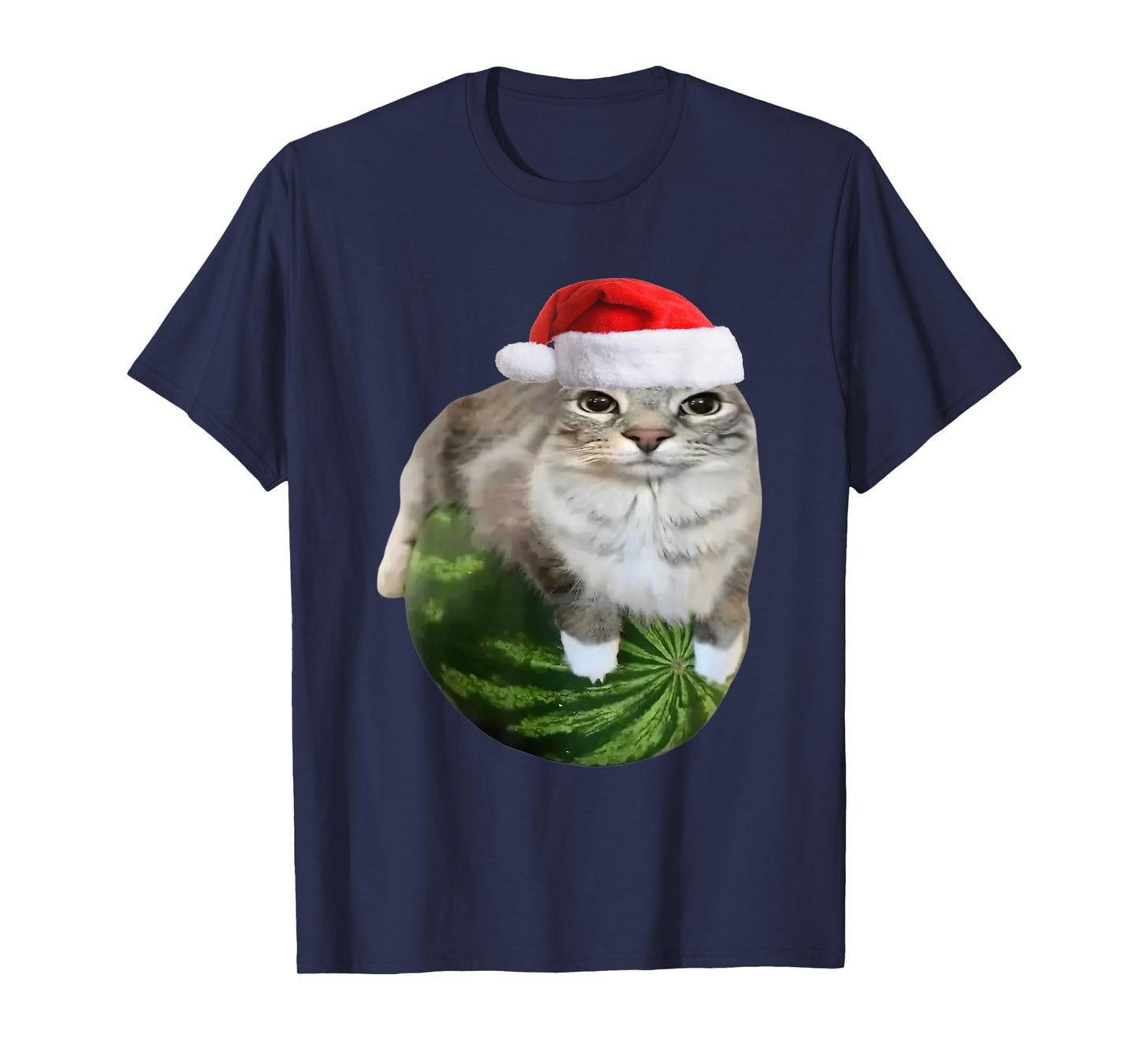Watermelon Cat Christmas Santa Hat Funny Meme T-Shirt