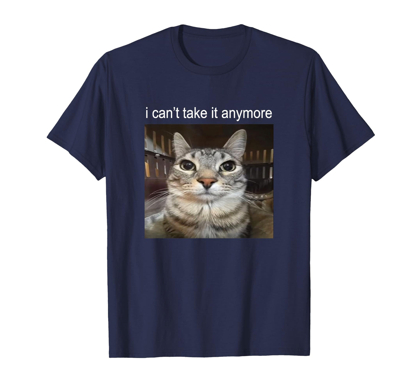 Silly Staring Cat I Can't Take It Anymore Meme T-Shirt