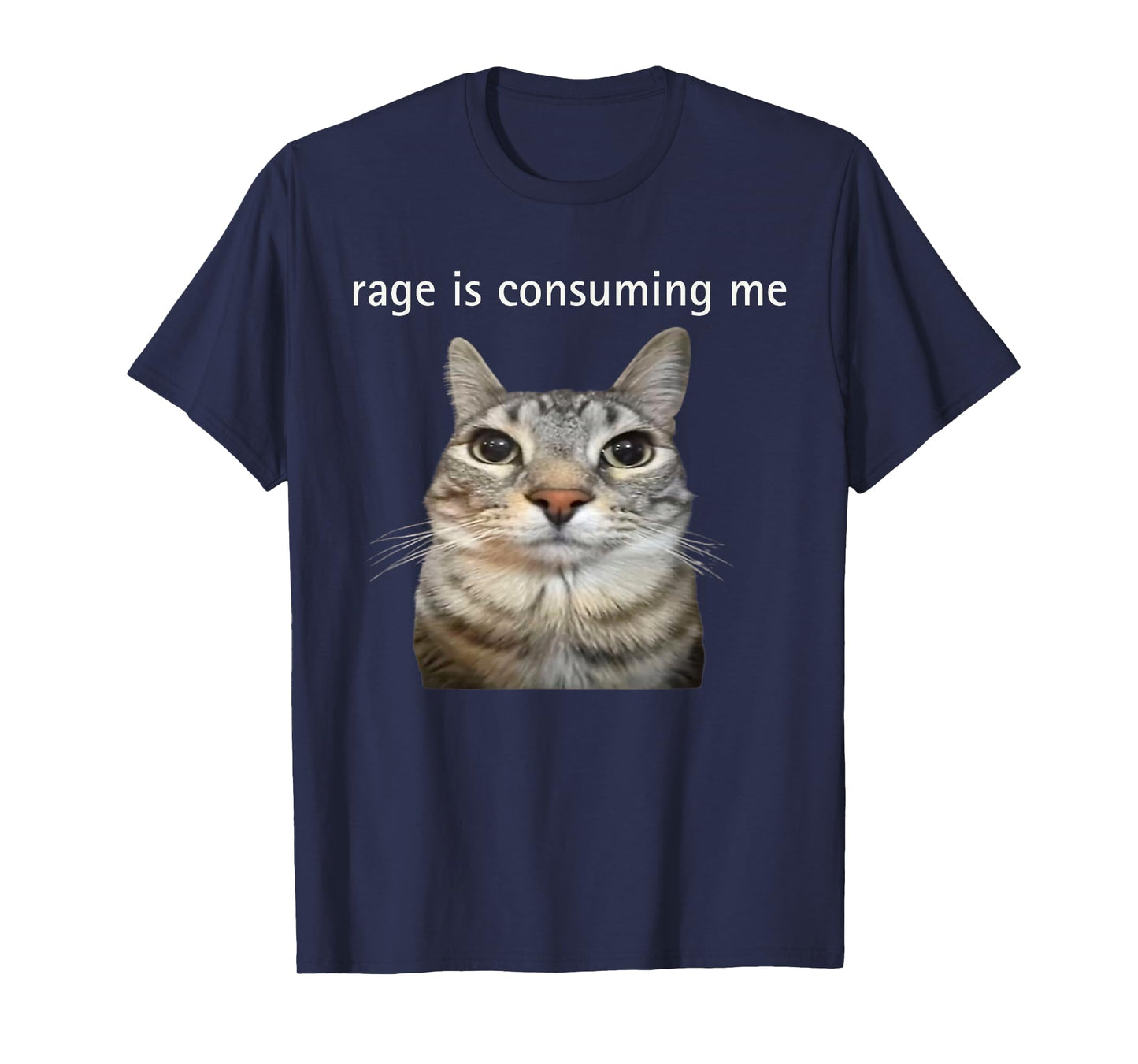 Rage Is Consuming Me Silly Staring Cat Meme Dad Mom T-Shirt