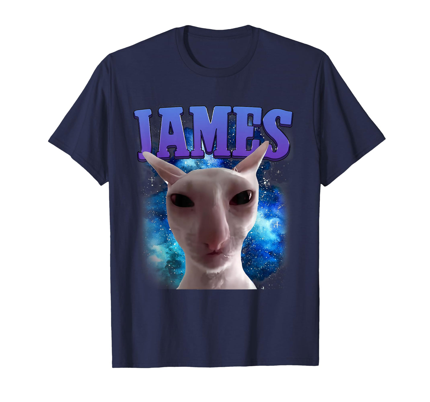 James The Cat Meme Funny Silly Cats Brainrot Meme Cat Lover T-Shirt