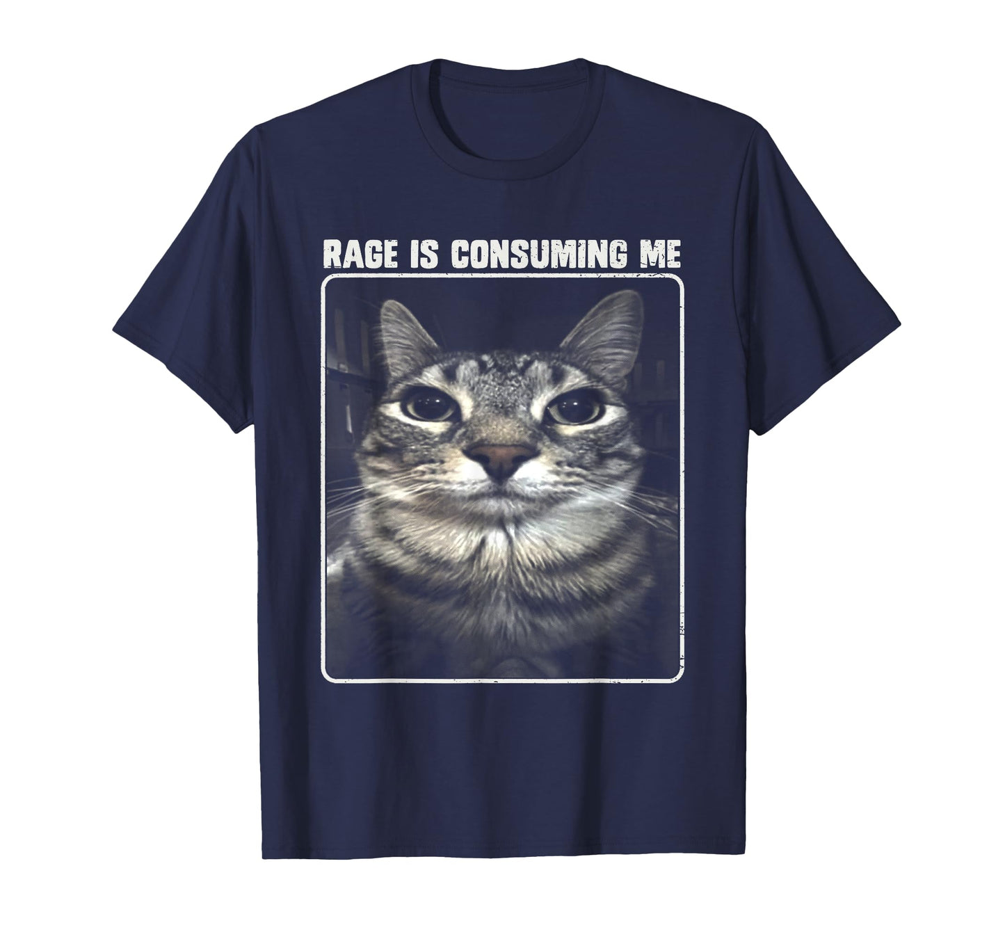 Rage Is Consuming Me Meme Silly Cat T-Shirt for Men Women Girls Kids