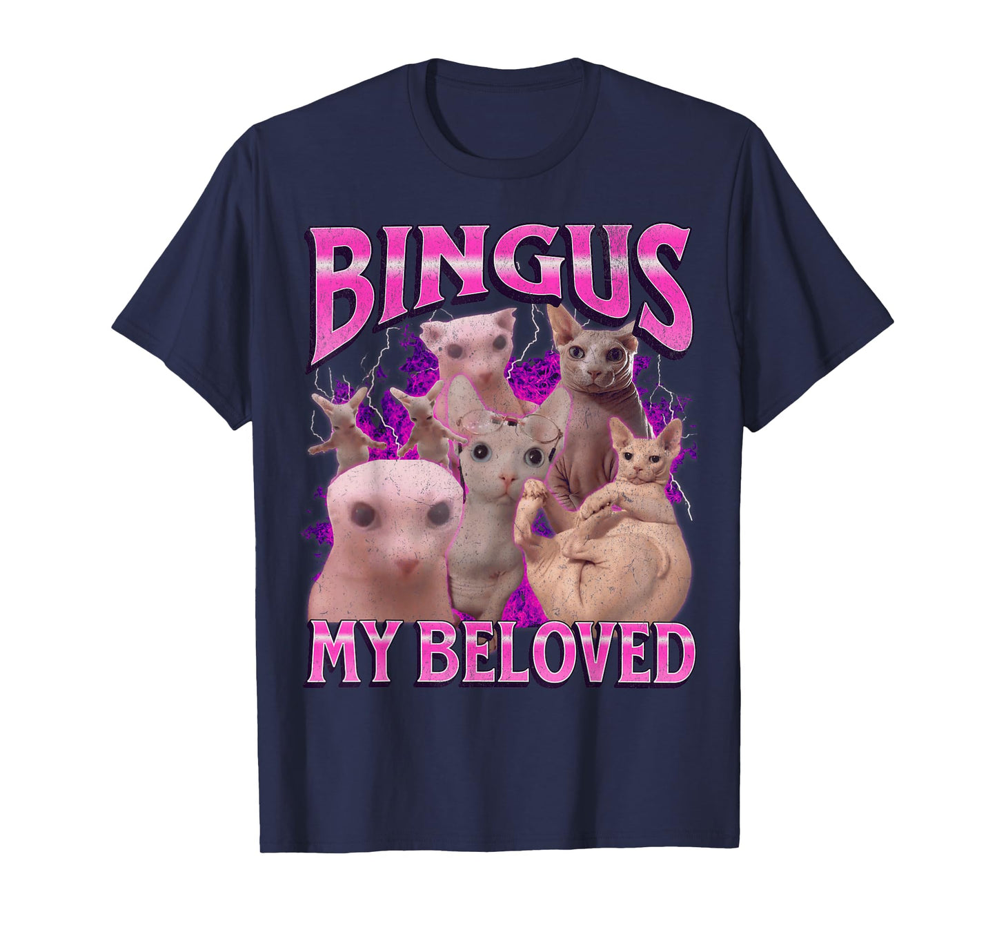 Bingus My Beloved Funny Sphinx Cat Meme Bootleg Graphic T-Shirt