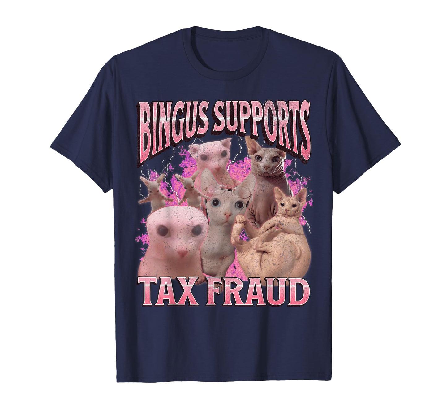 Bingus Supports Tax Fraud Funny Sphinx Cat Meme Bootleg T-Shirt