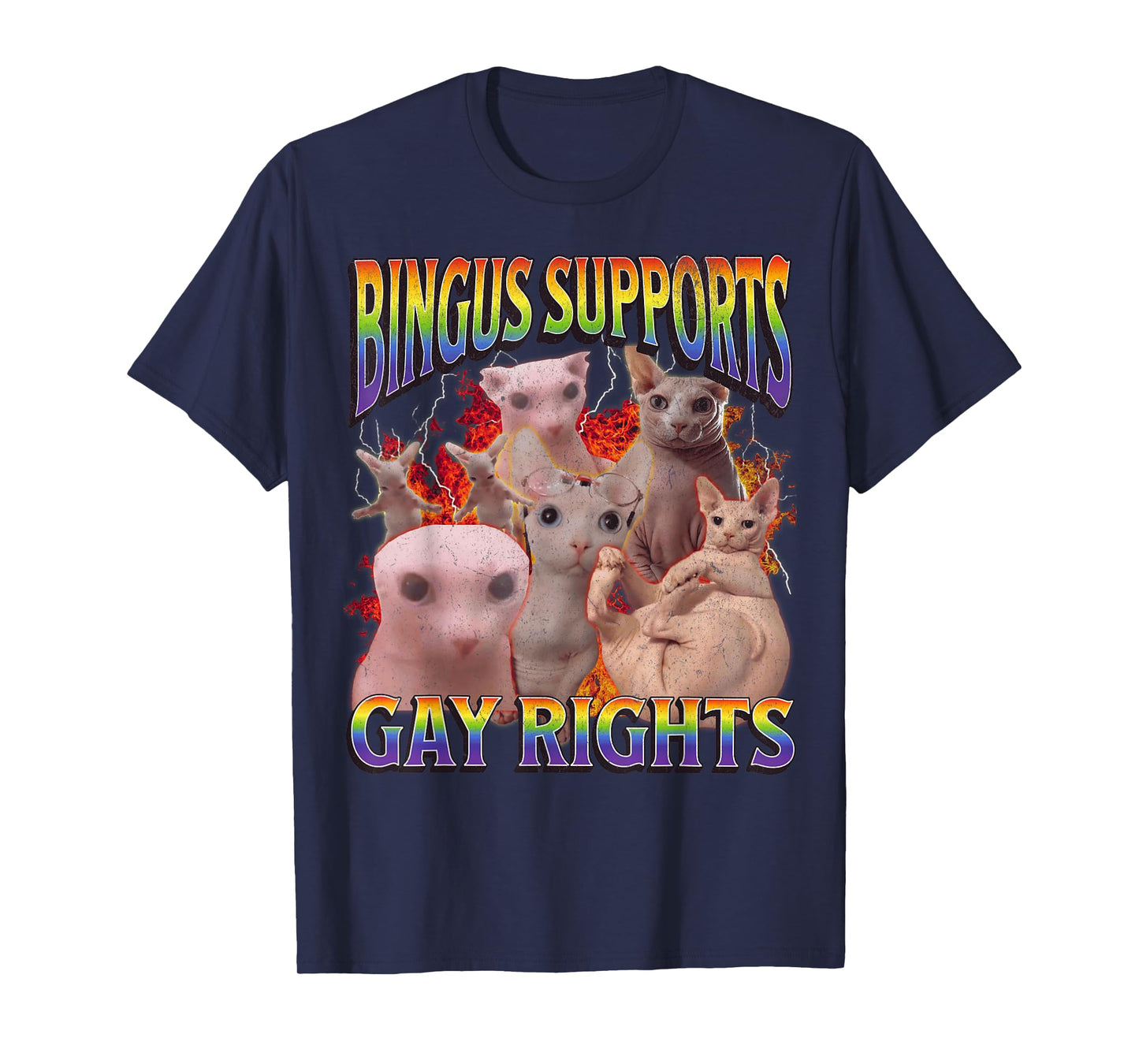 Bingus Supports Gay Rights Funny Sphinx Cat Meme Bootleg T-Shirt