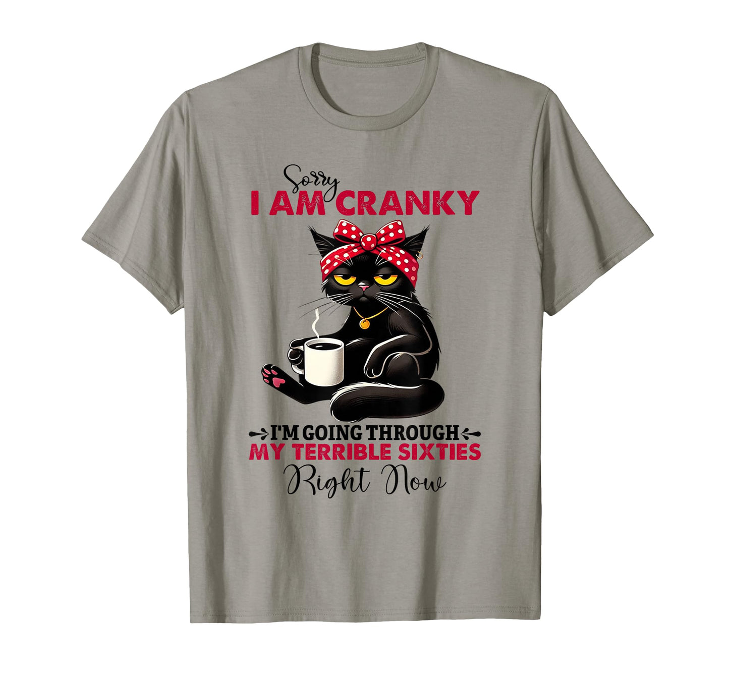 Sorry I'm cranky I'm going through my terrible sixties right T-Shirt